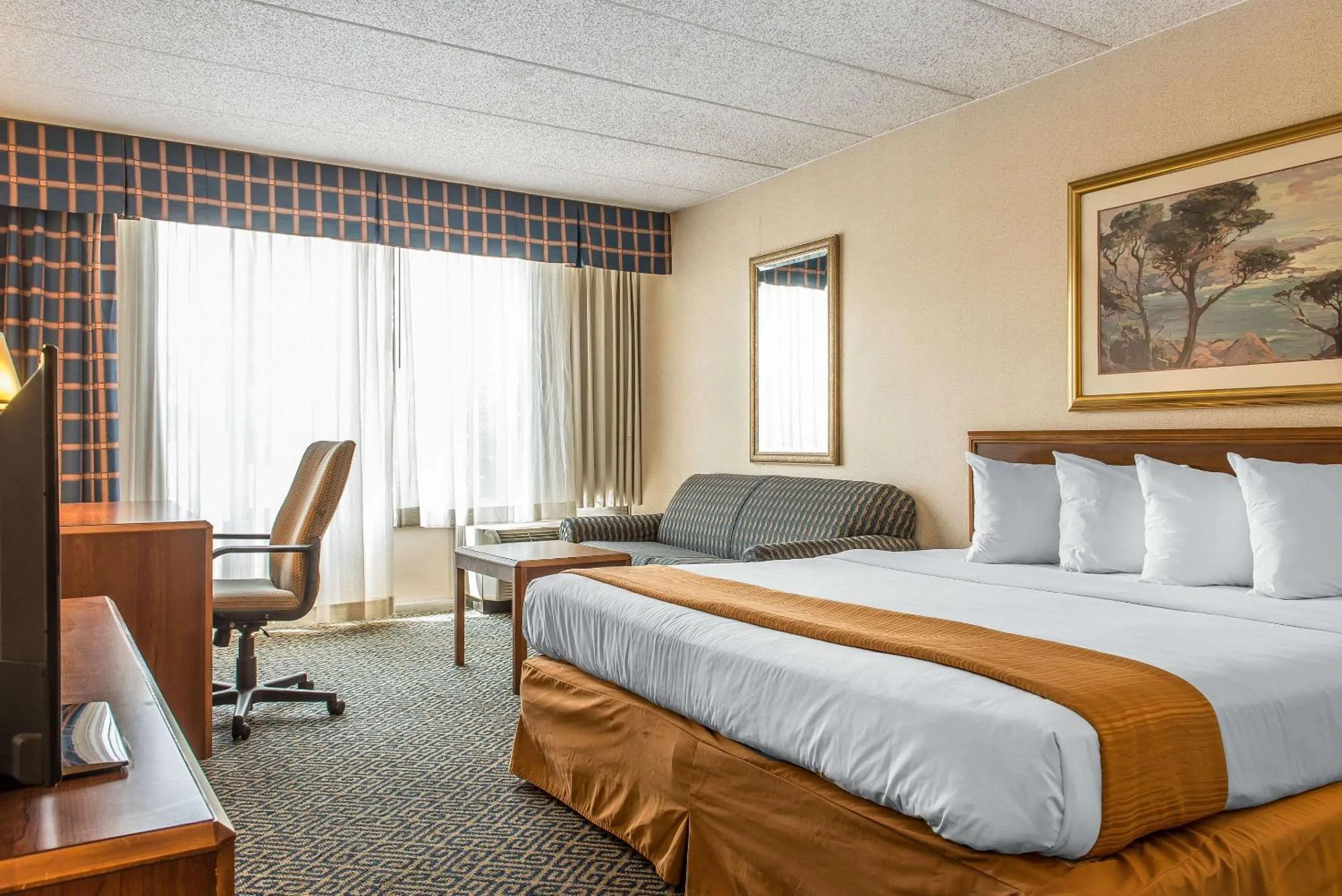King Room - Accessible/Non-Smoking in Quality Inn and Conference Center