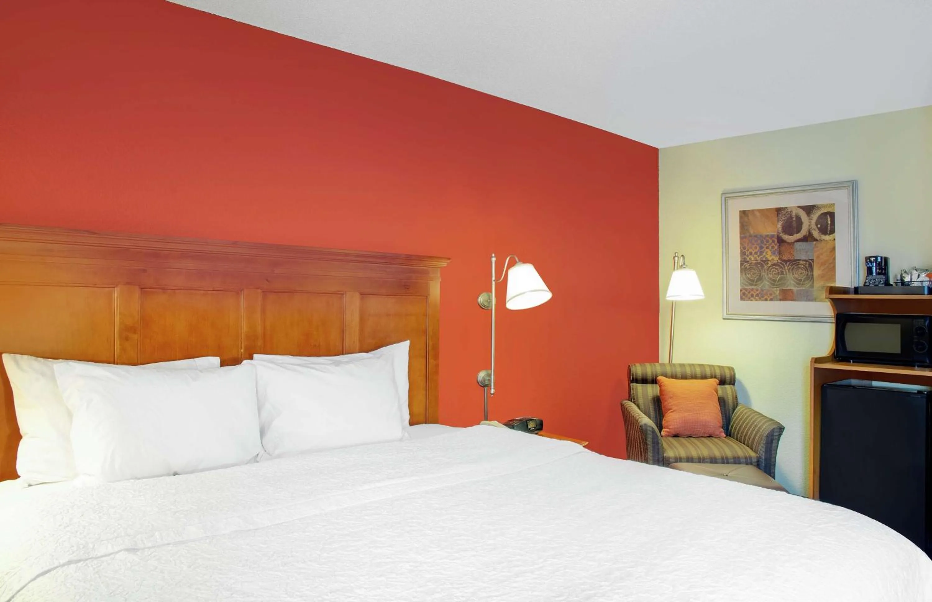 King Room with King Bed - Non-Smoking in Hampton Inn Merrillville
