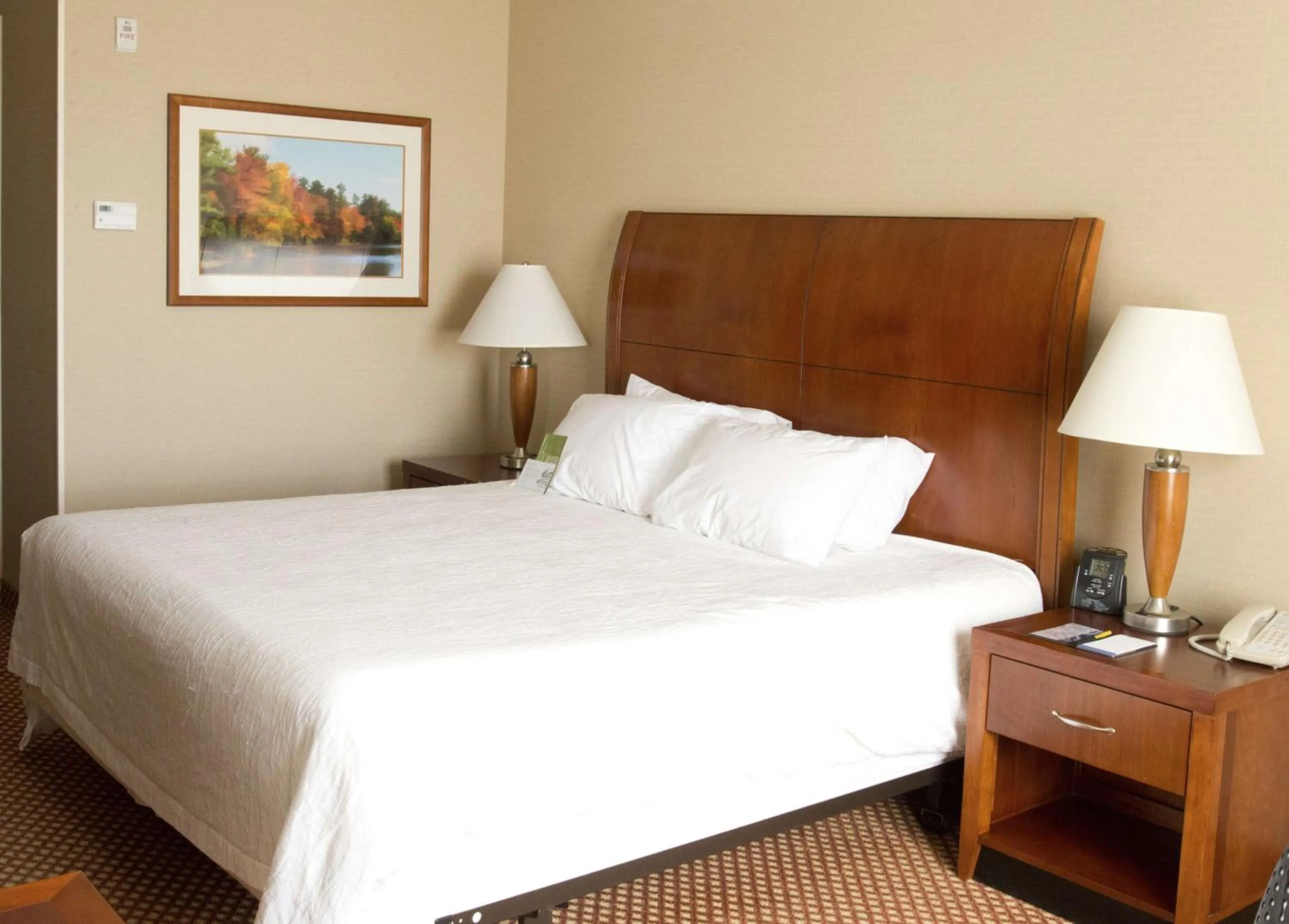 Premium King Room in Hilton Garden Inn Laramie