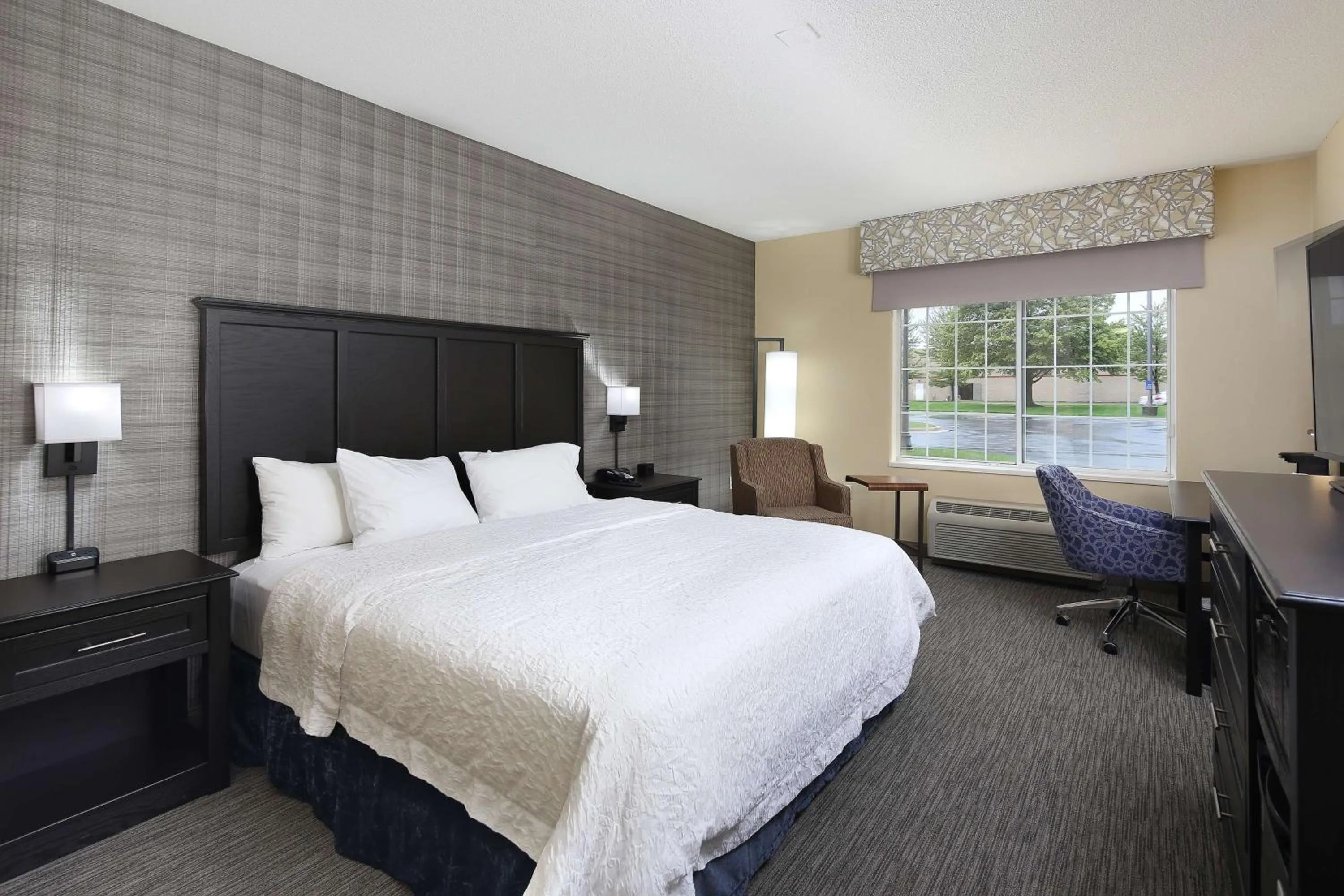 King Room with Roll-In Shower - Mobility and Hearing Access/Non-Smoking in Hampton Inn Holland