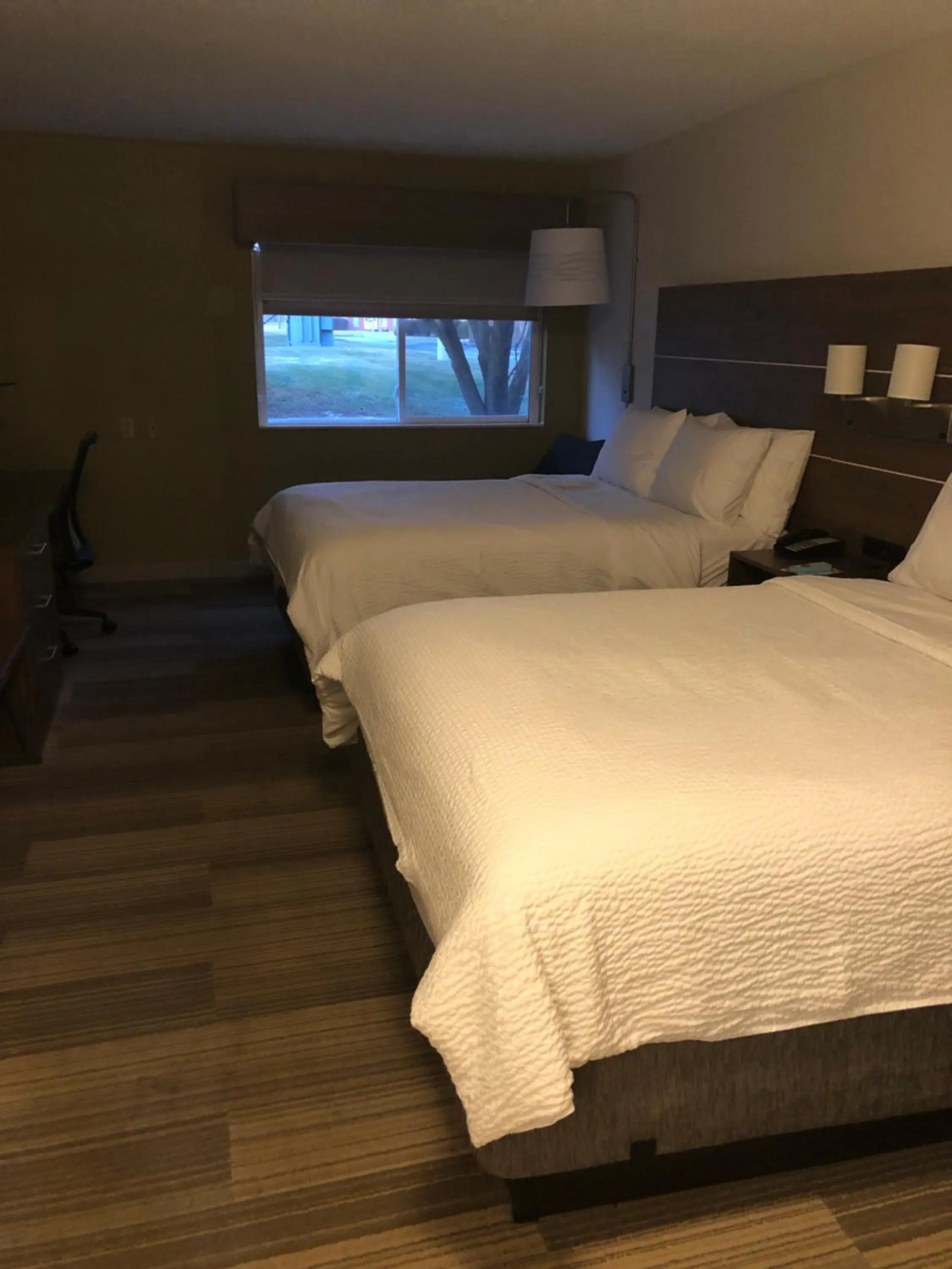 Standard Room in Holiday Inn Express Mt. Vernon by IHG