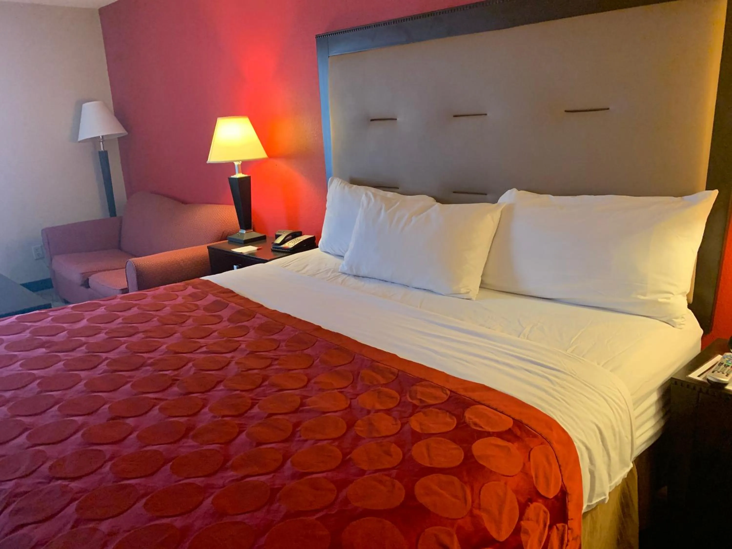 Deluxe King Room - Non-Smoking in Ramada by Wyndham Gainesville