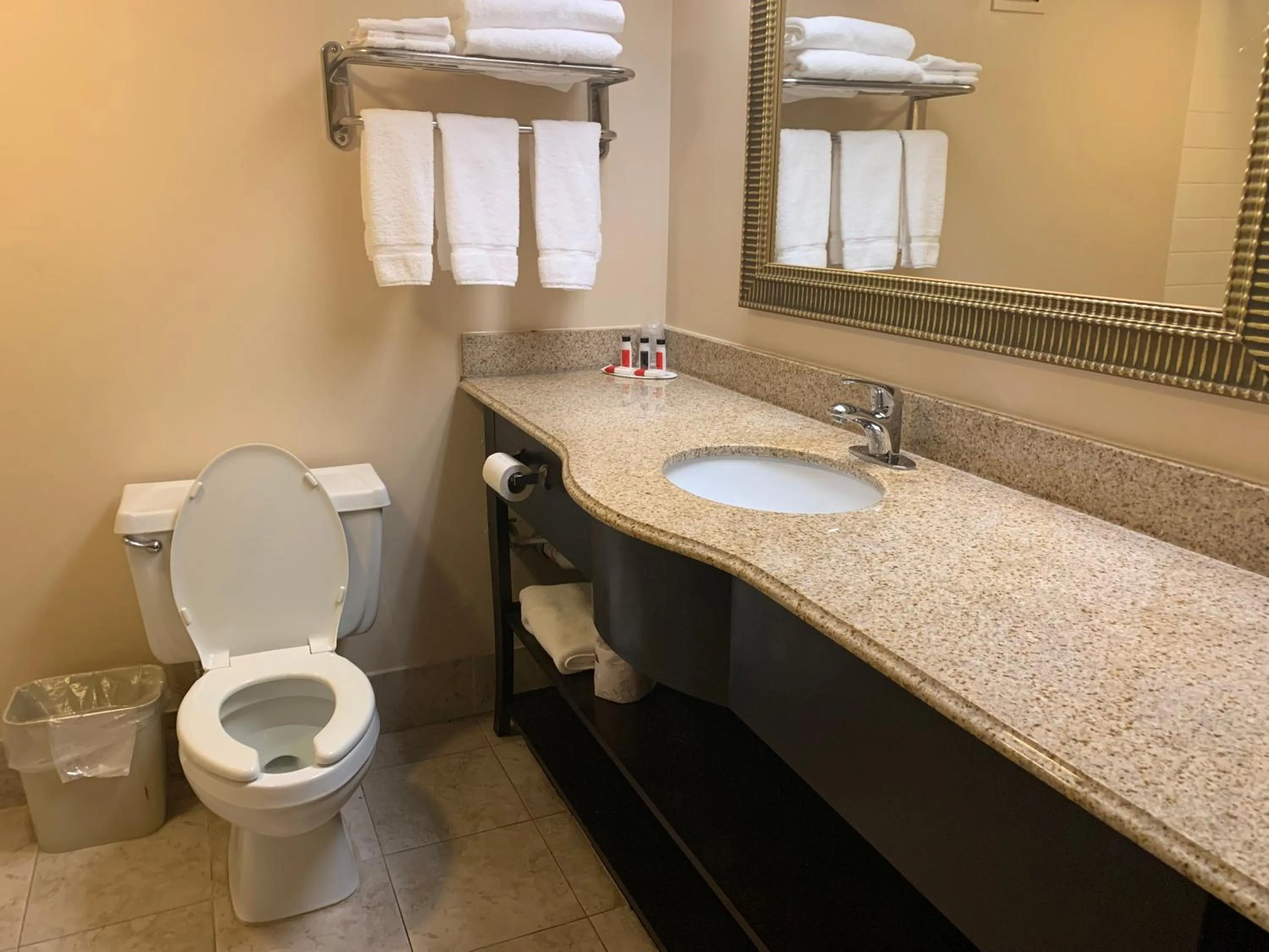 King Room - Disability Access/Non-Smoking in Ramada by Wyndham Gainesville