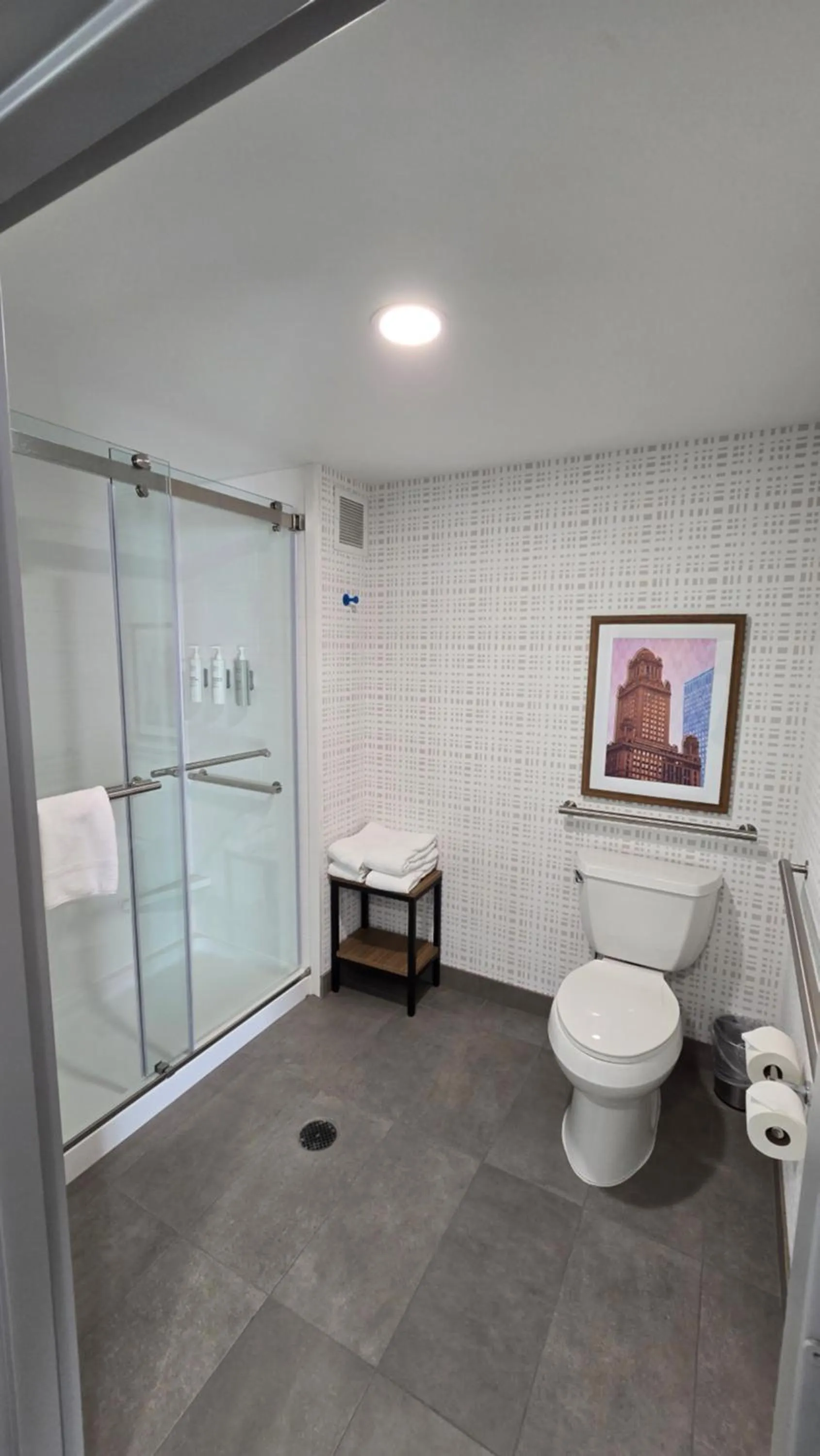 King Studio with Bath Tub - Disability Access/Non-Smoking in Hampton Inn & Suites Chicago Deer Park