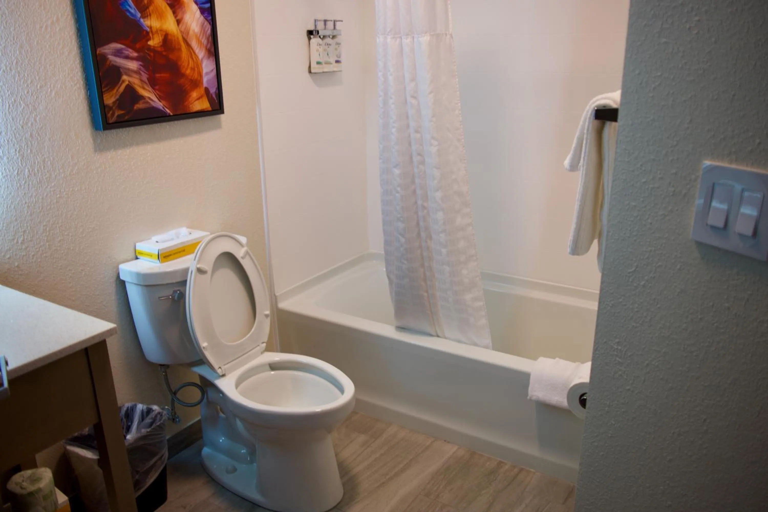 One-Bedroom Suite with Tub - Mobility Accessible in Candlewood Suites Harrisonburg by IHG