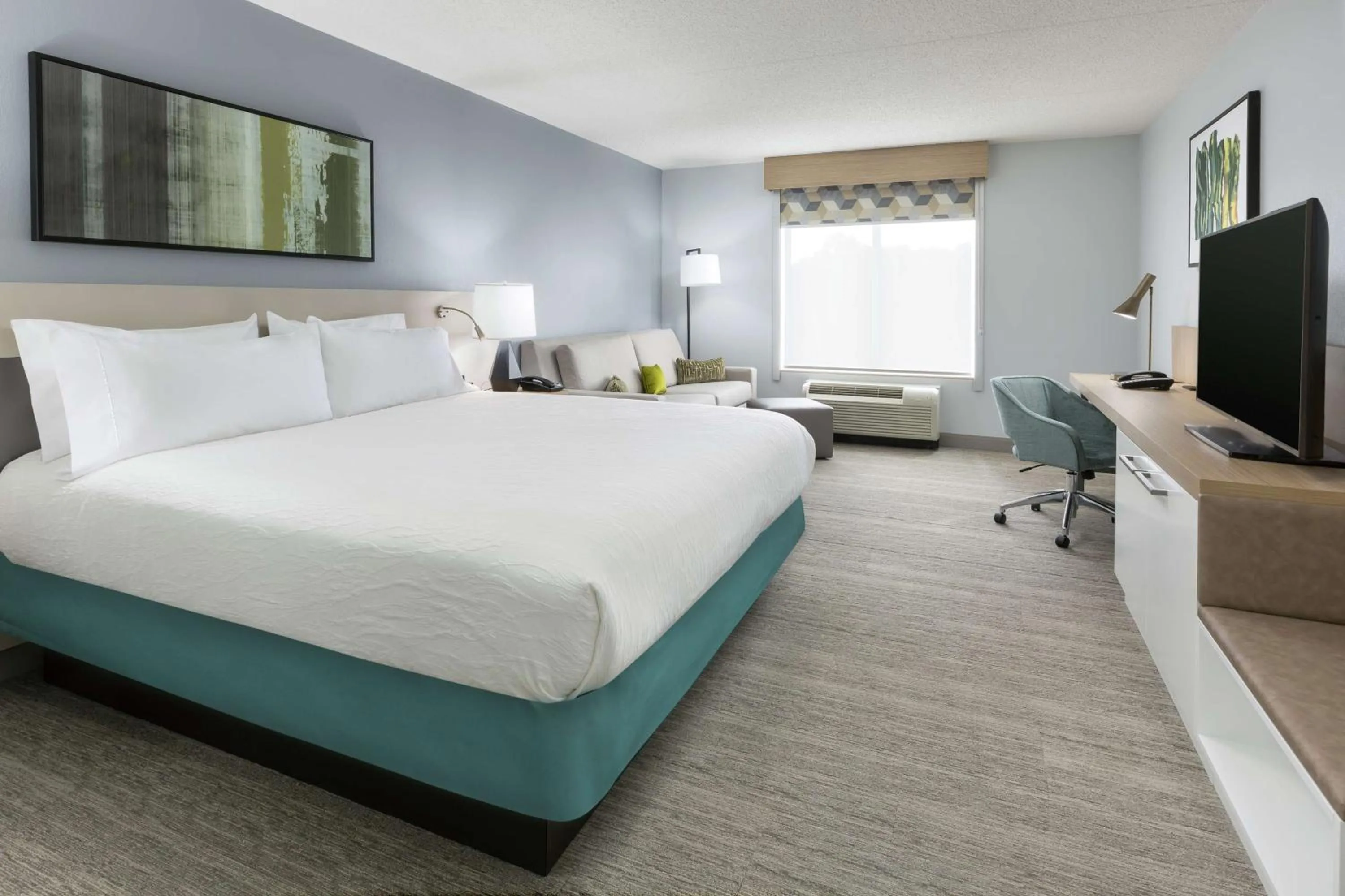 Premium King Room in Hilton Garden Inn Greenville