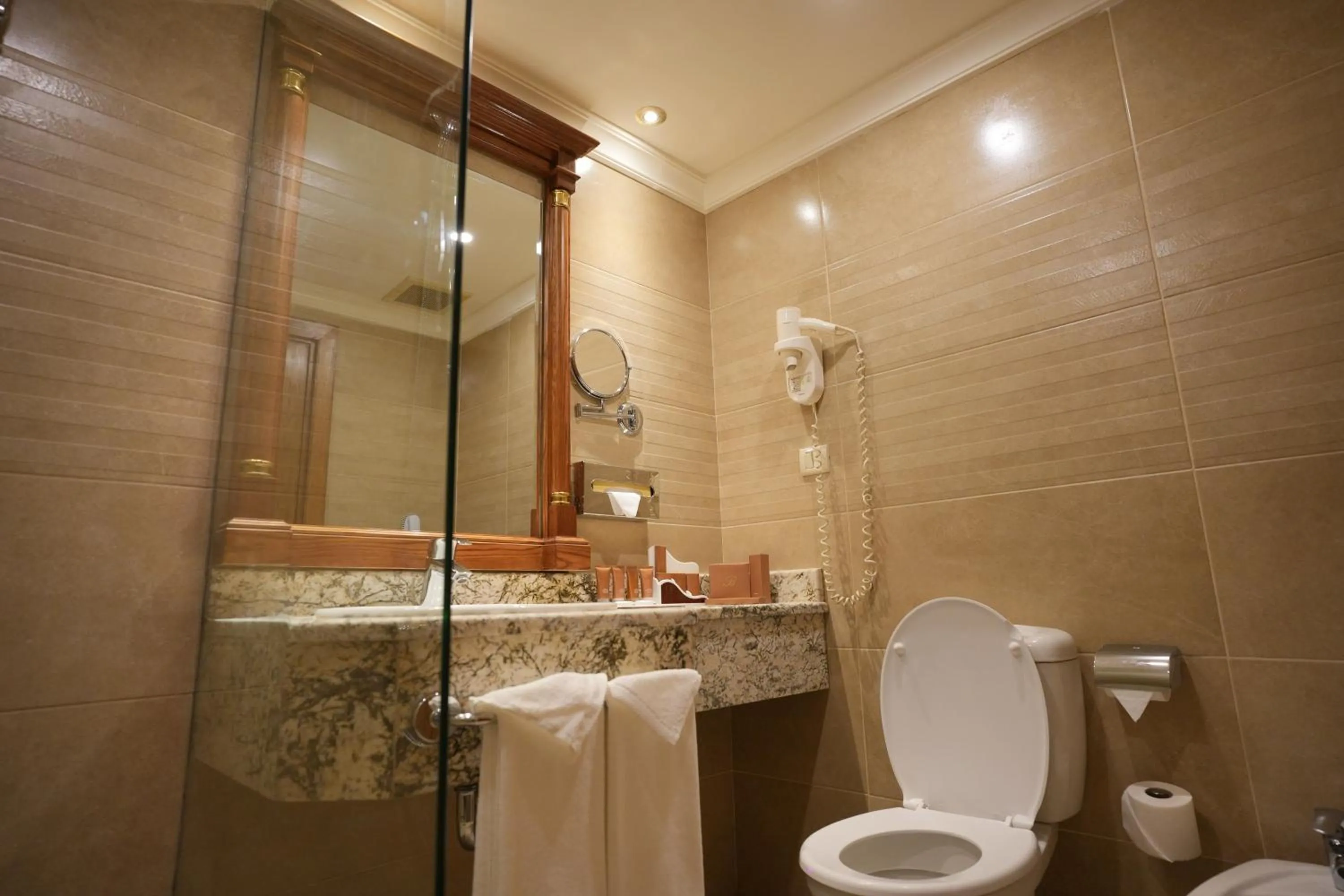 Standard Double Room or Twin Room in Bristol Hotel