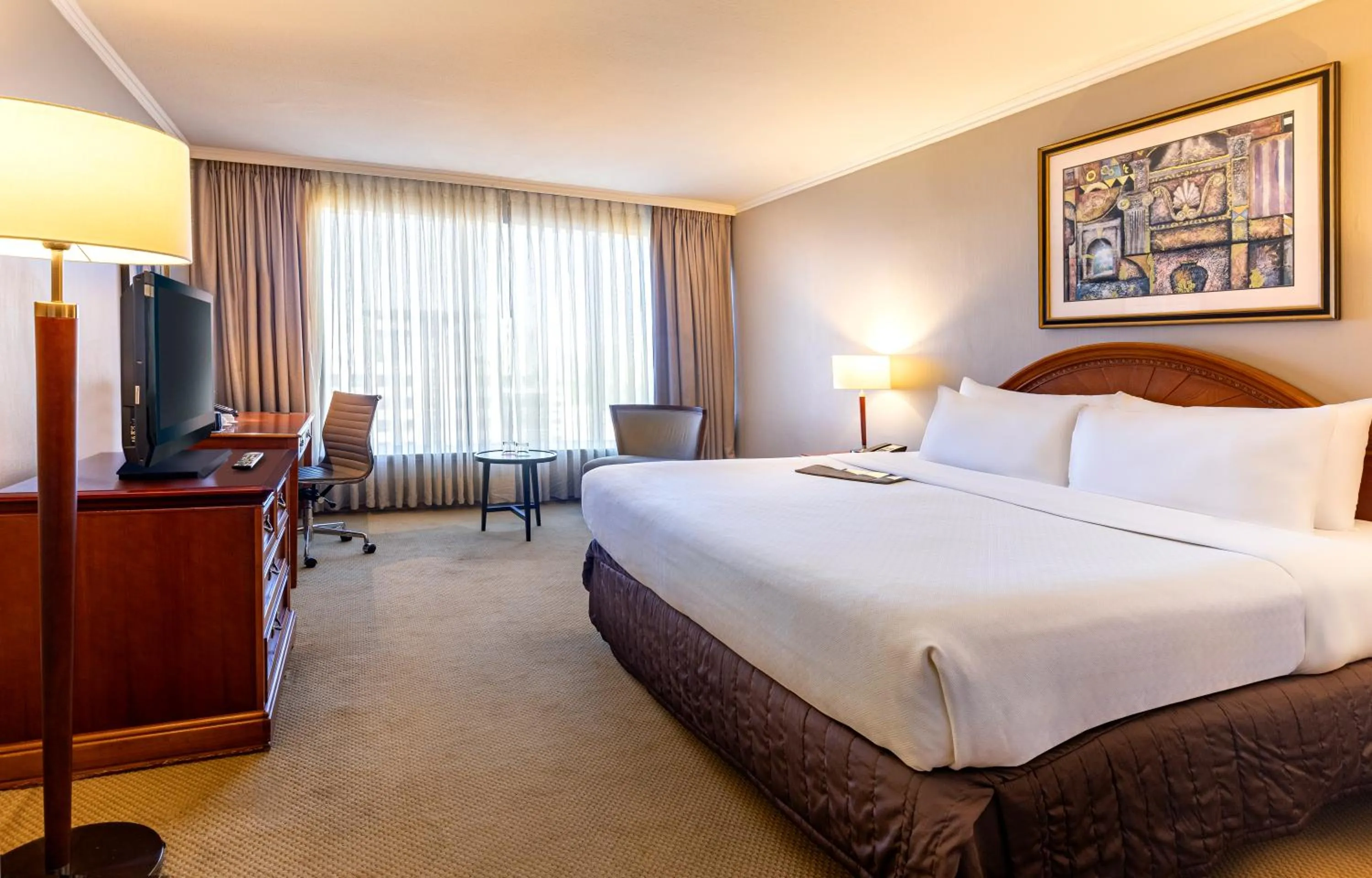 Classic King Room with City View in Hotel Plaza Santiago