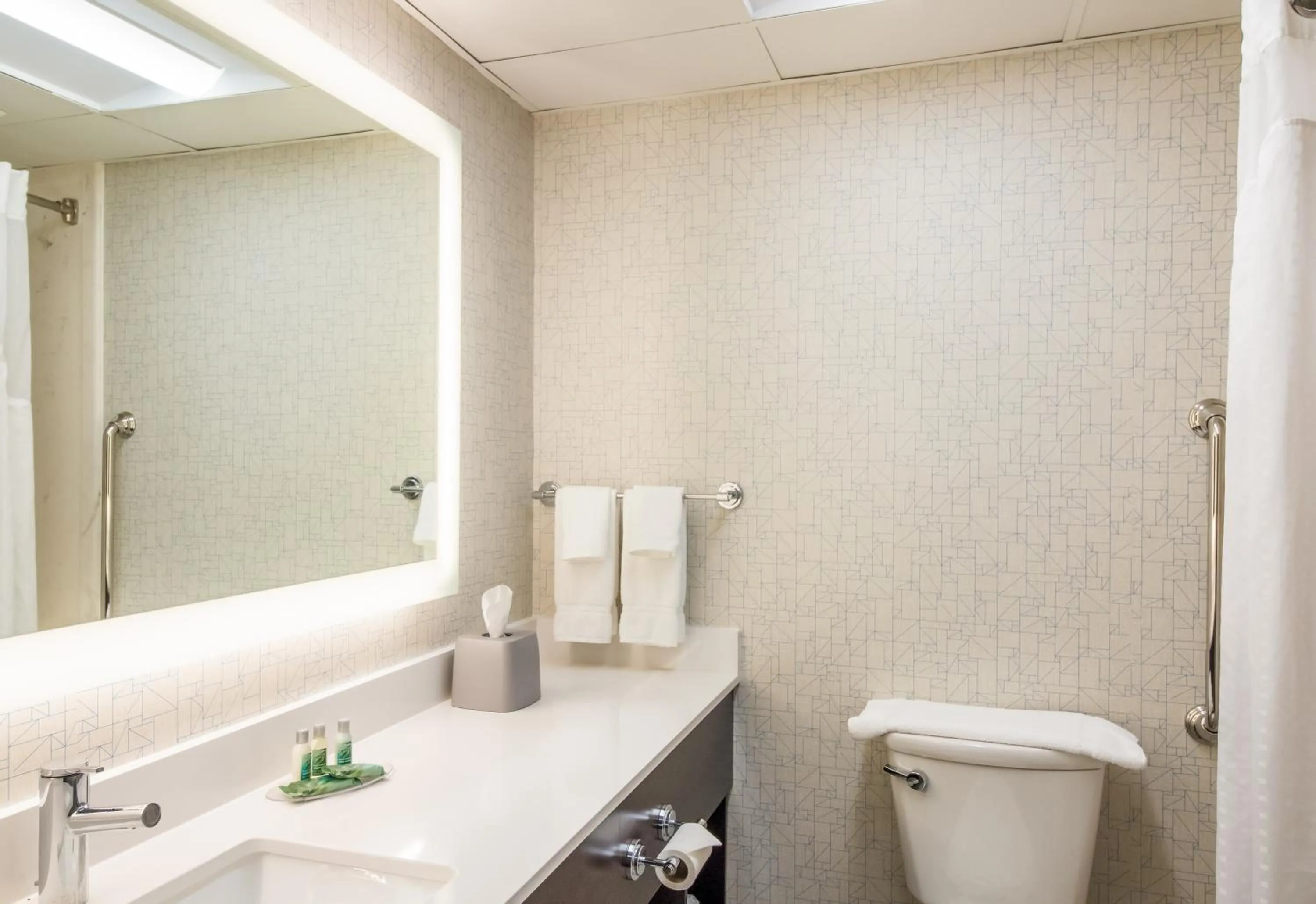 Standard King Room - Non-Smoking  in Clarion Pointe New Bern