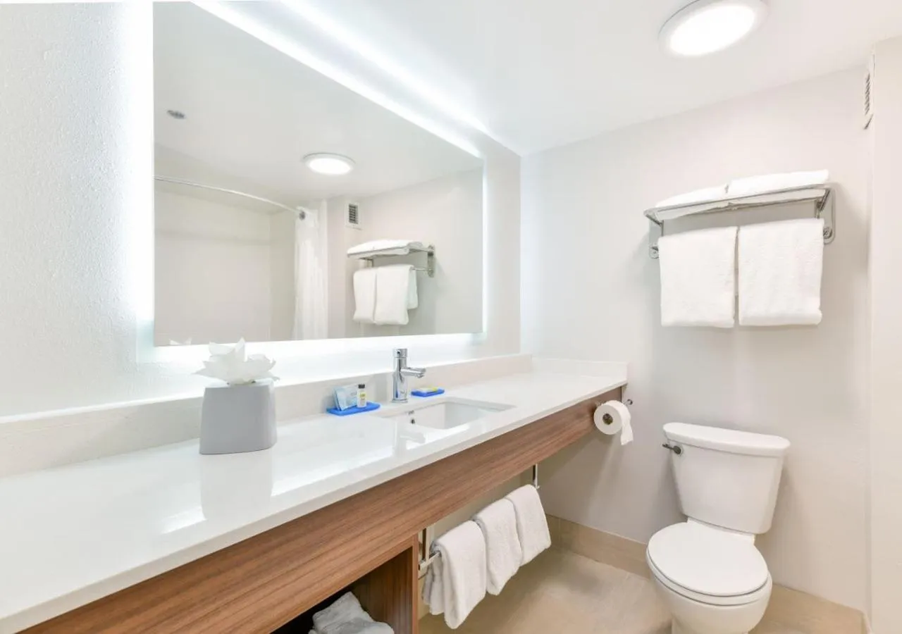 Deluxe King Suite in Holiday Inn Express Hotel & Suites Pigeon Forge by IHG