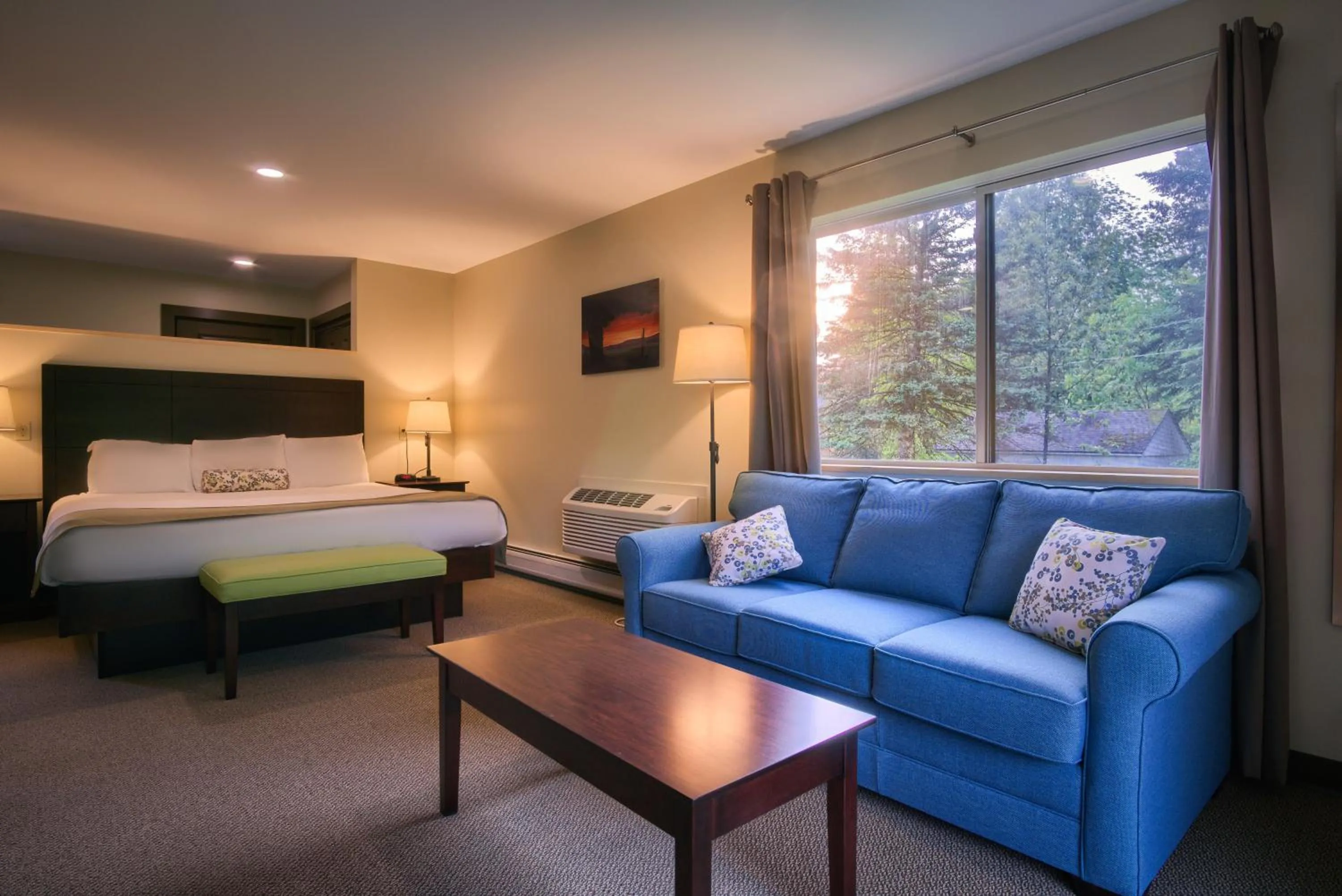 Deluxe Suite - Disability Access in Sun & Ski Inn and Suites