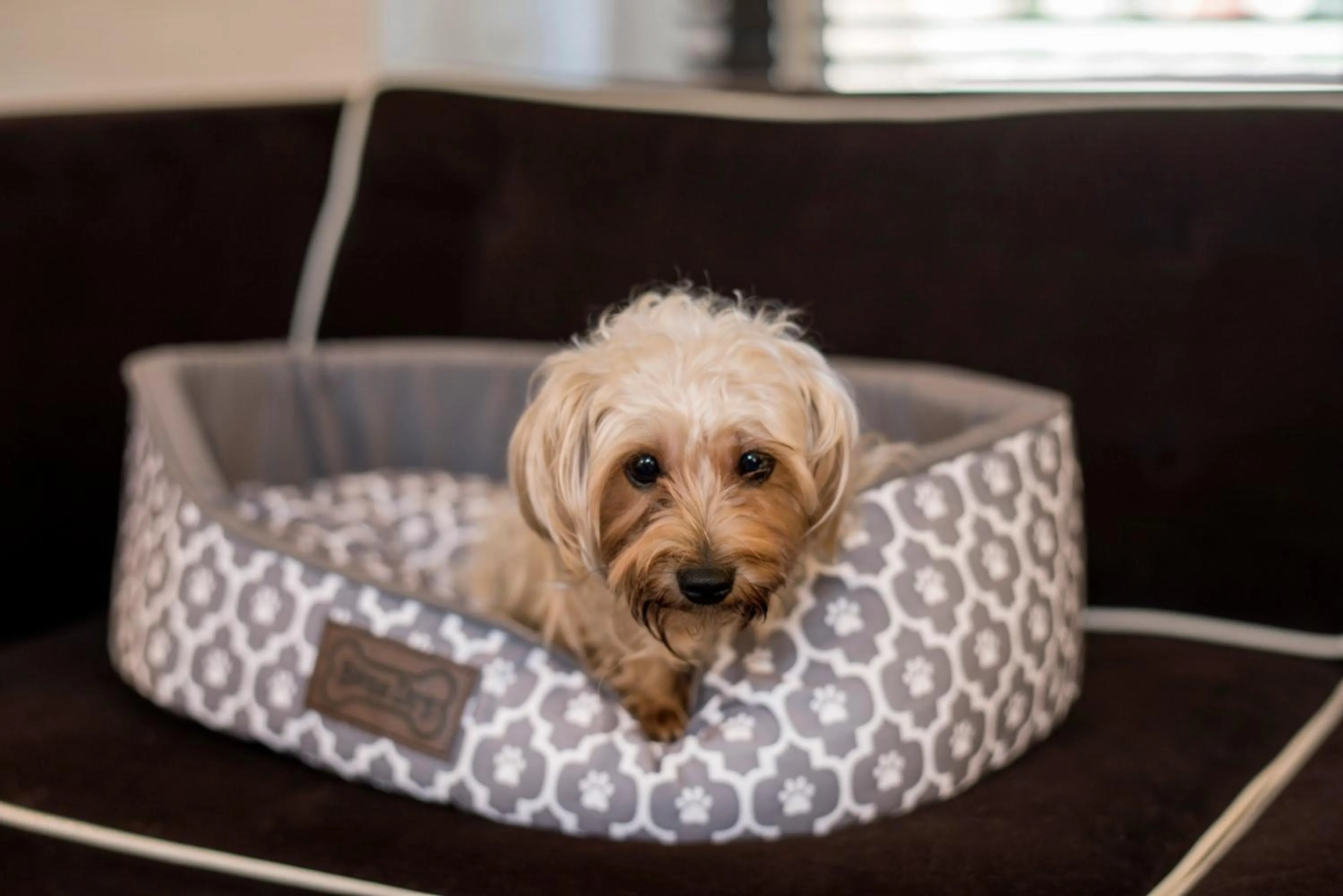 One-Bedroom Suite with Tub - Mobility Accessible in 70 Park Avenue - Soon to be Kimpton