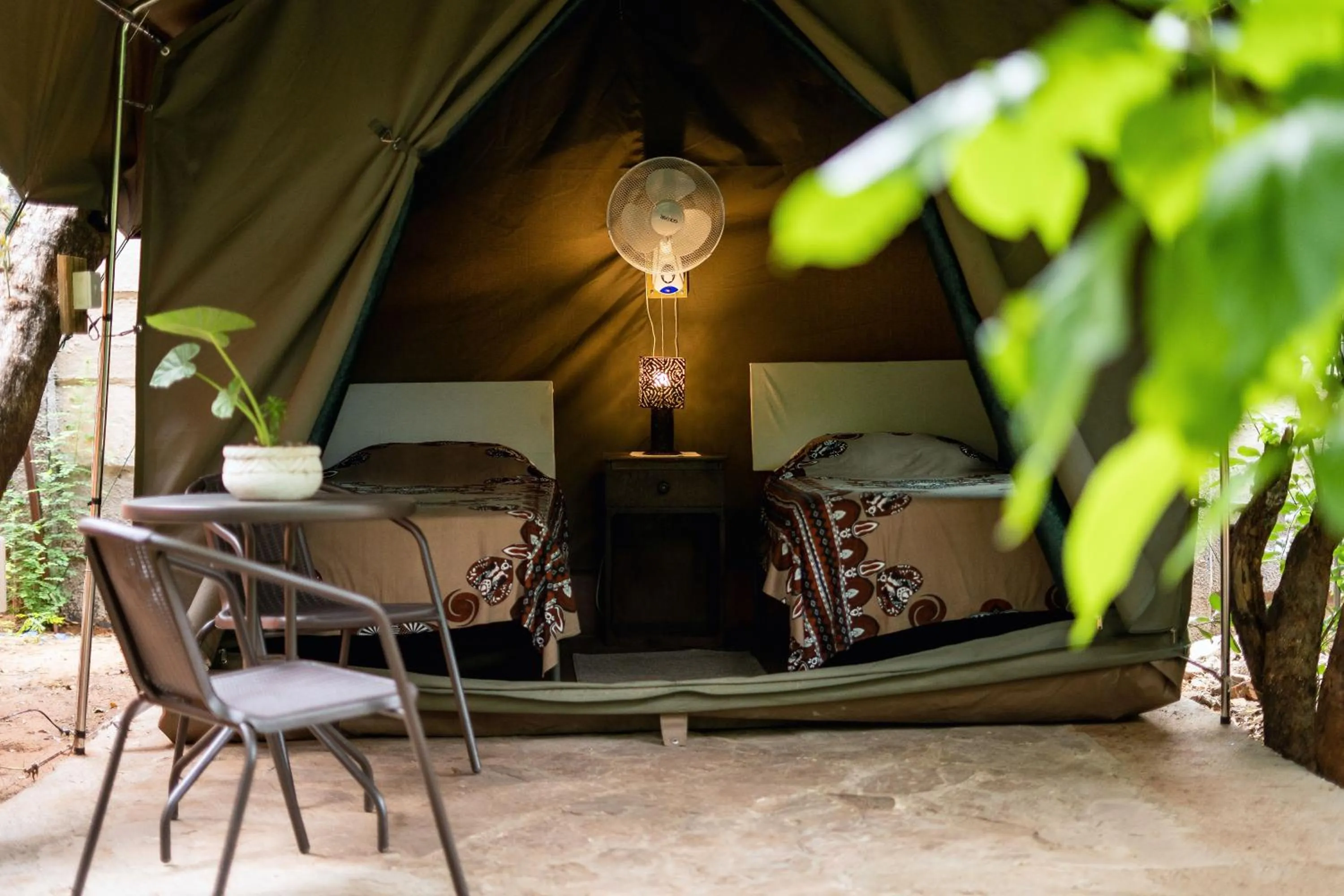 Tent in Victoria Falls Backpackers Lodge