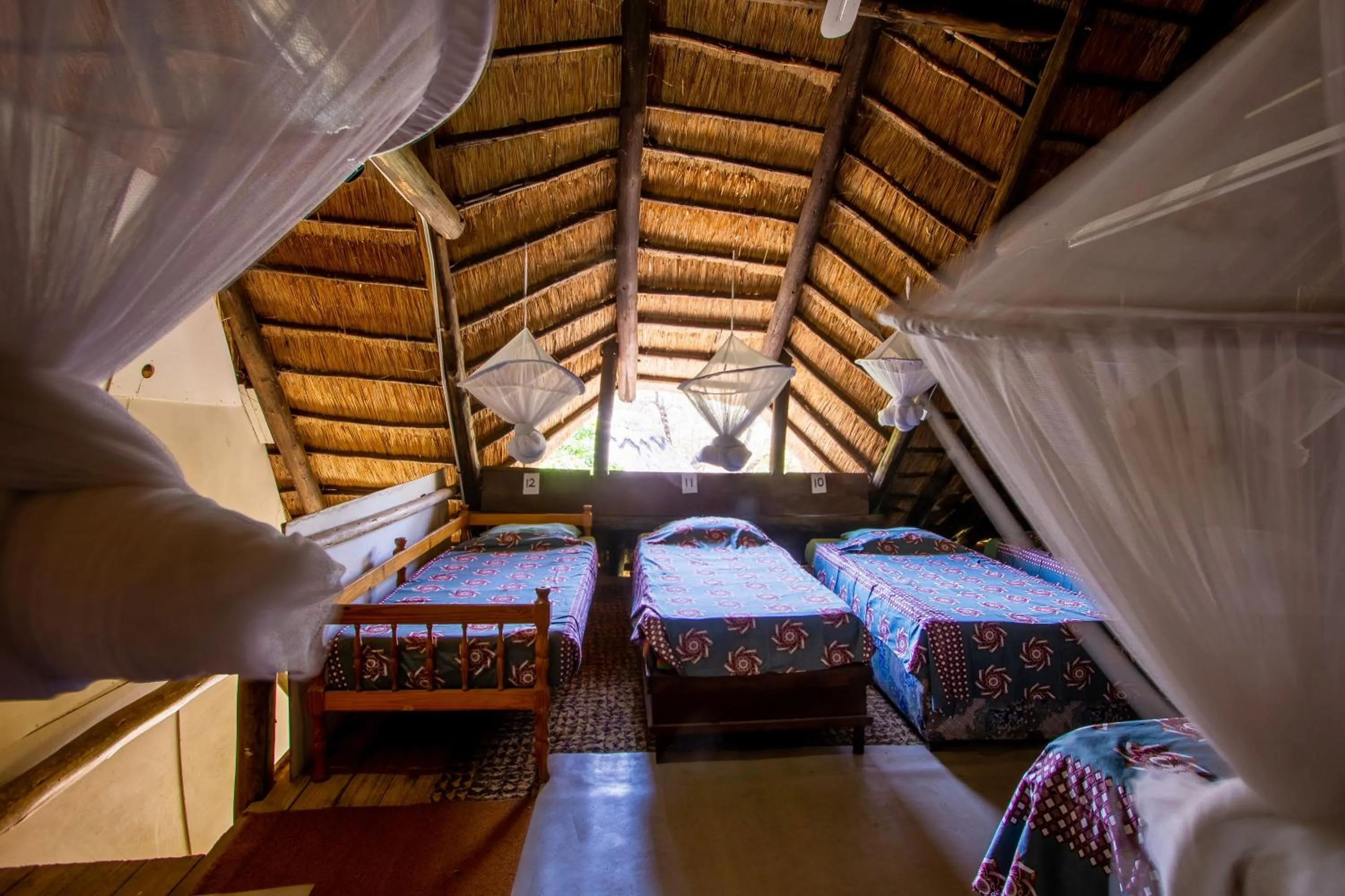Single Bed in Mixed Dormitory Room in Victoria Falls Backpackers Lodge