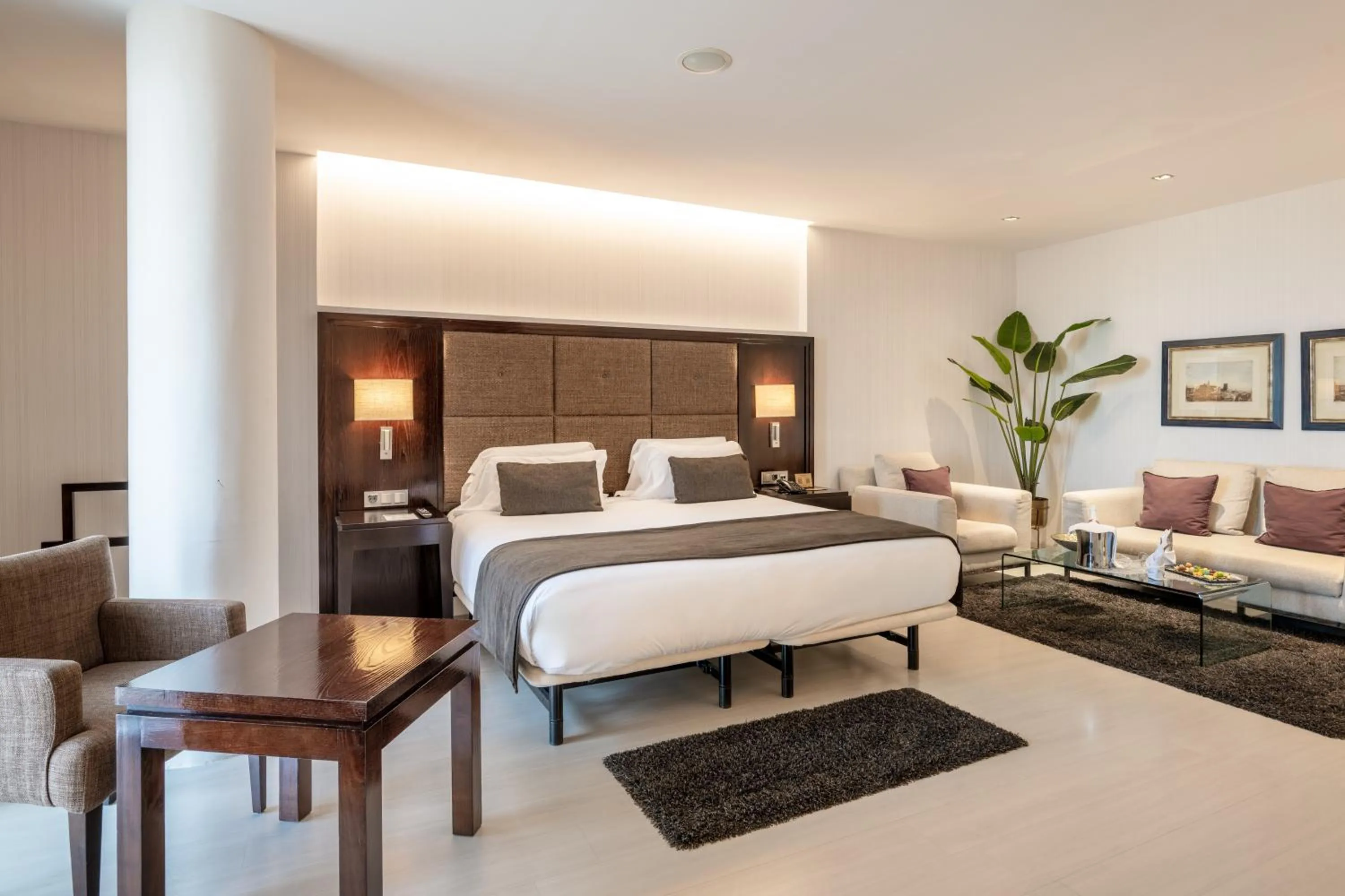 Deluxe Double or Twin Room in Hotel Diagonal Plaza