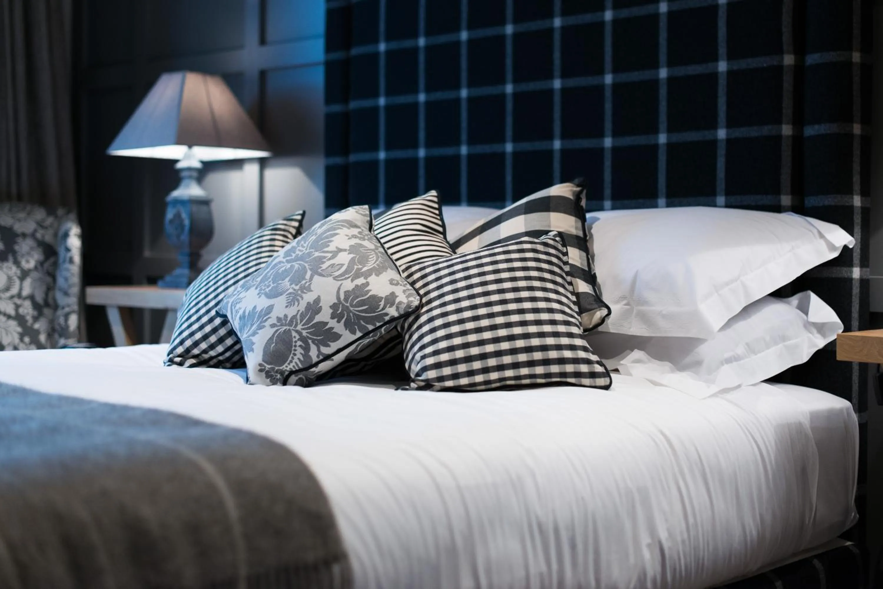 Family Room in Forest