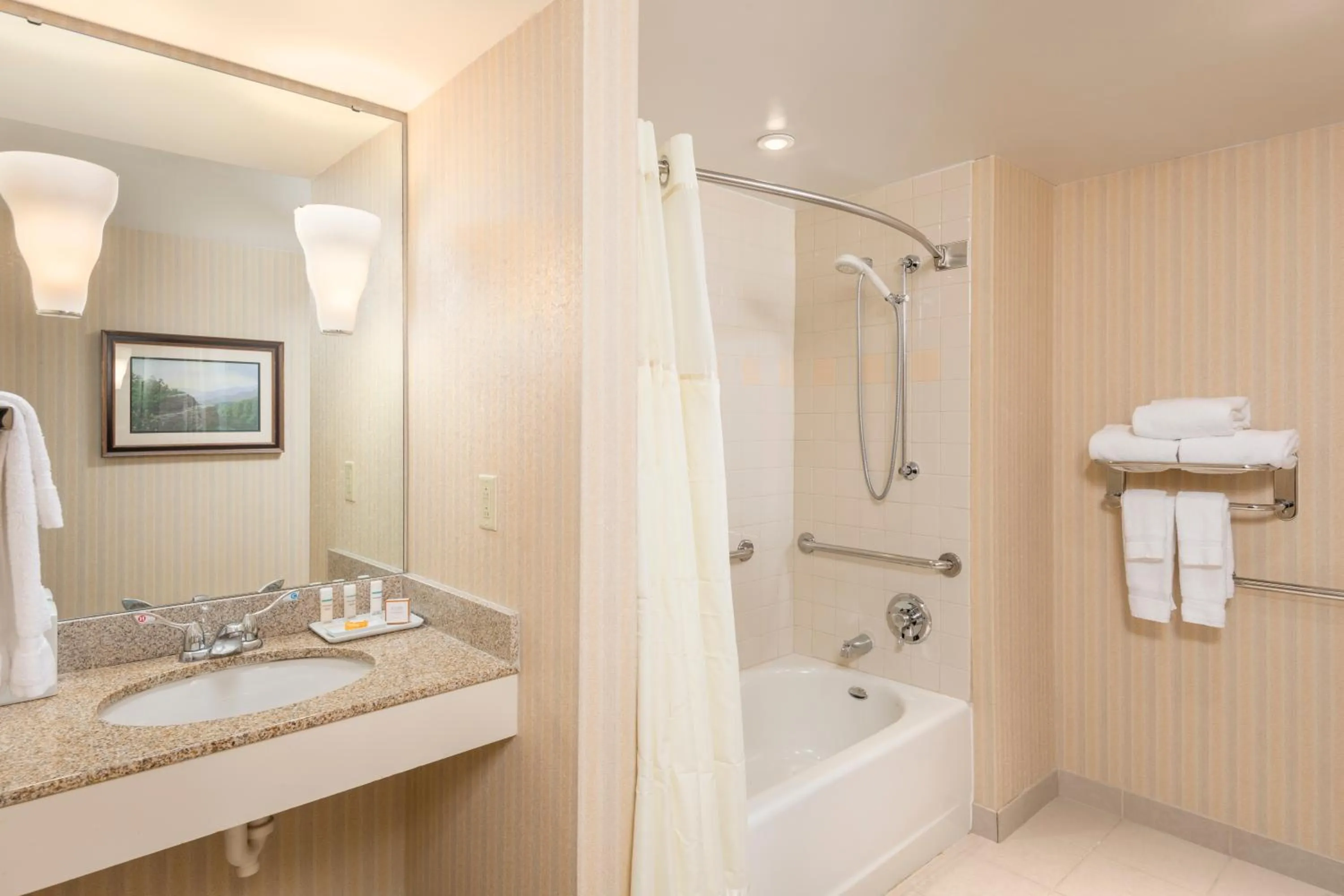 Accessible Room with King Bed in The Inn at Virginia Tech - On Campus