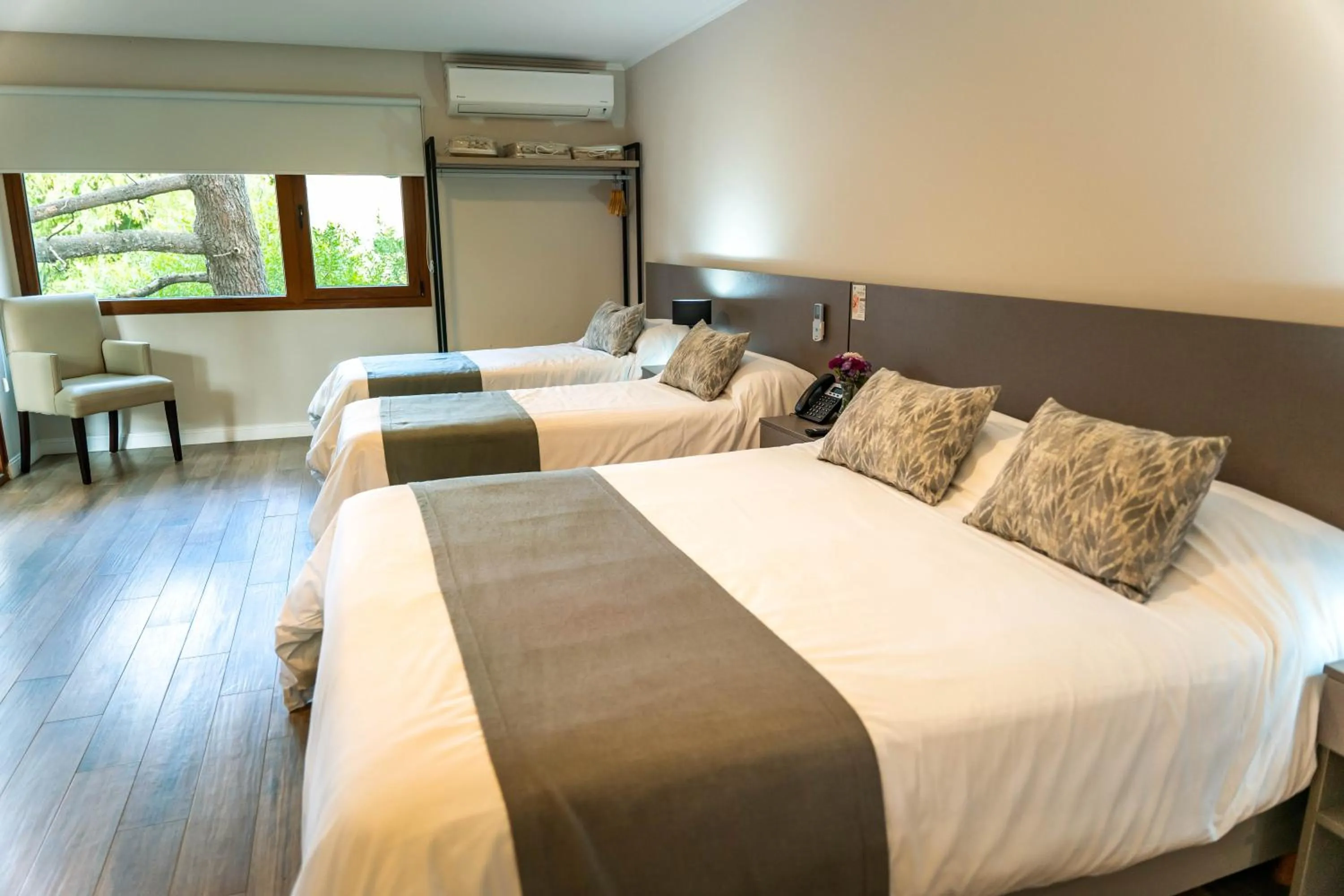 Suite in O2 Hotel Valeria del Mar