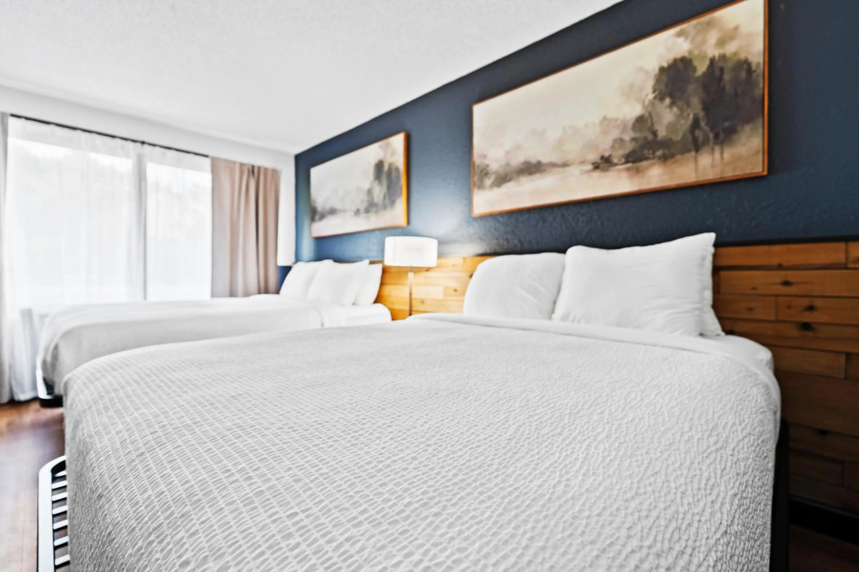 Queen Suite in Tremont Lodge & Resort