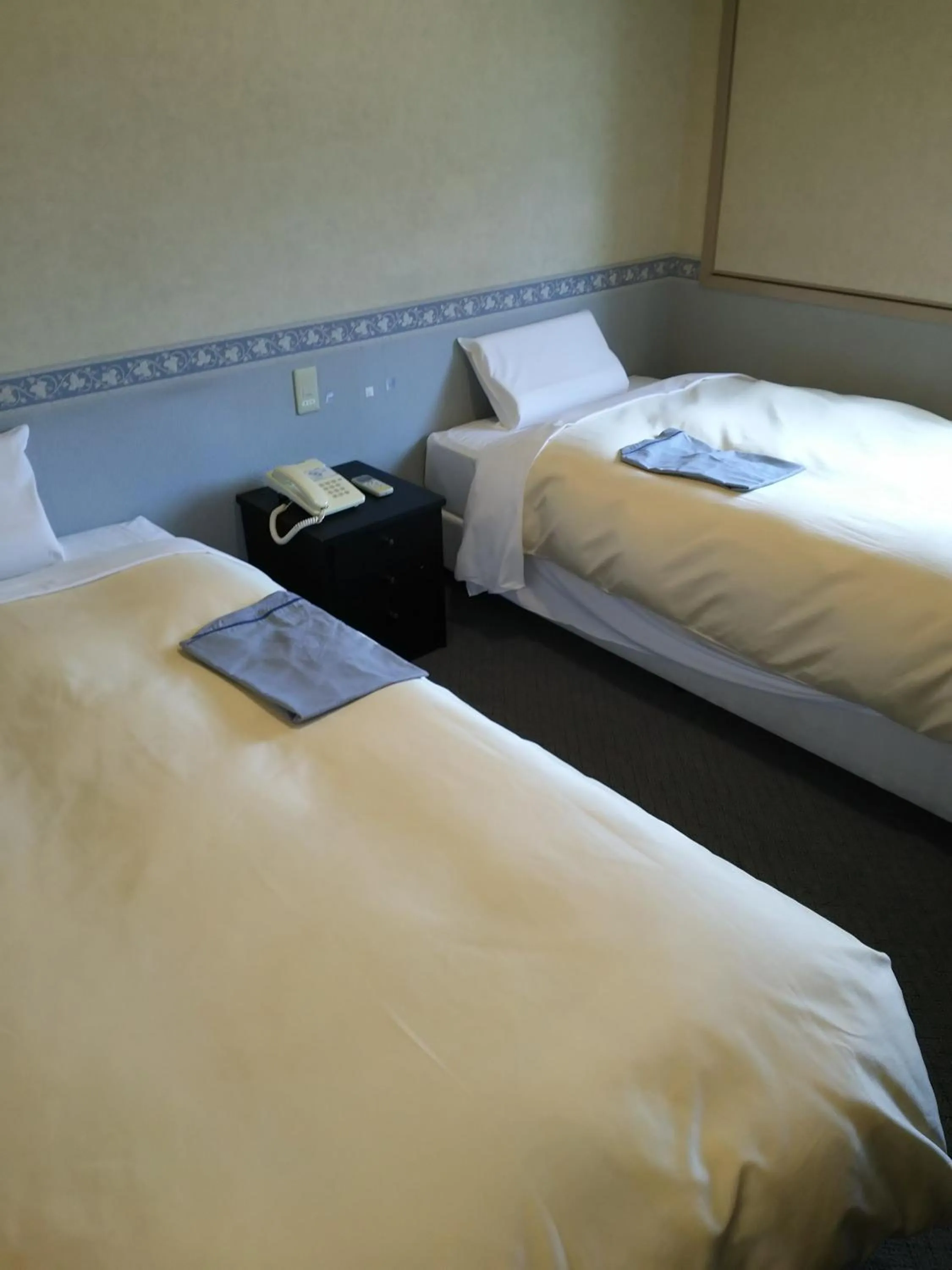 Standard Twin Room - single occupancy - Non-Smoking in Hotel Hyper Hills Hirosaki