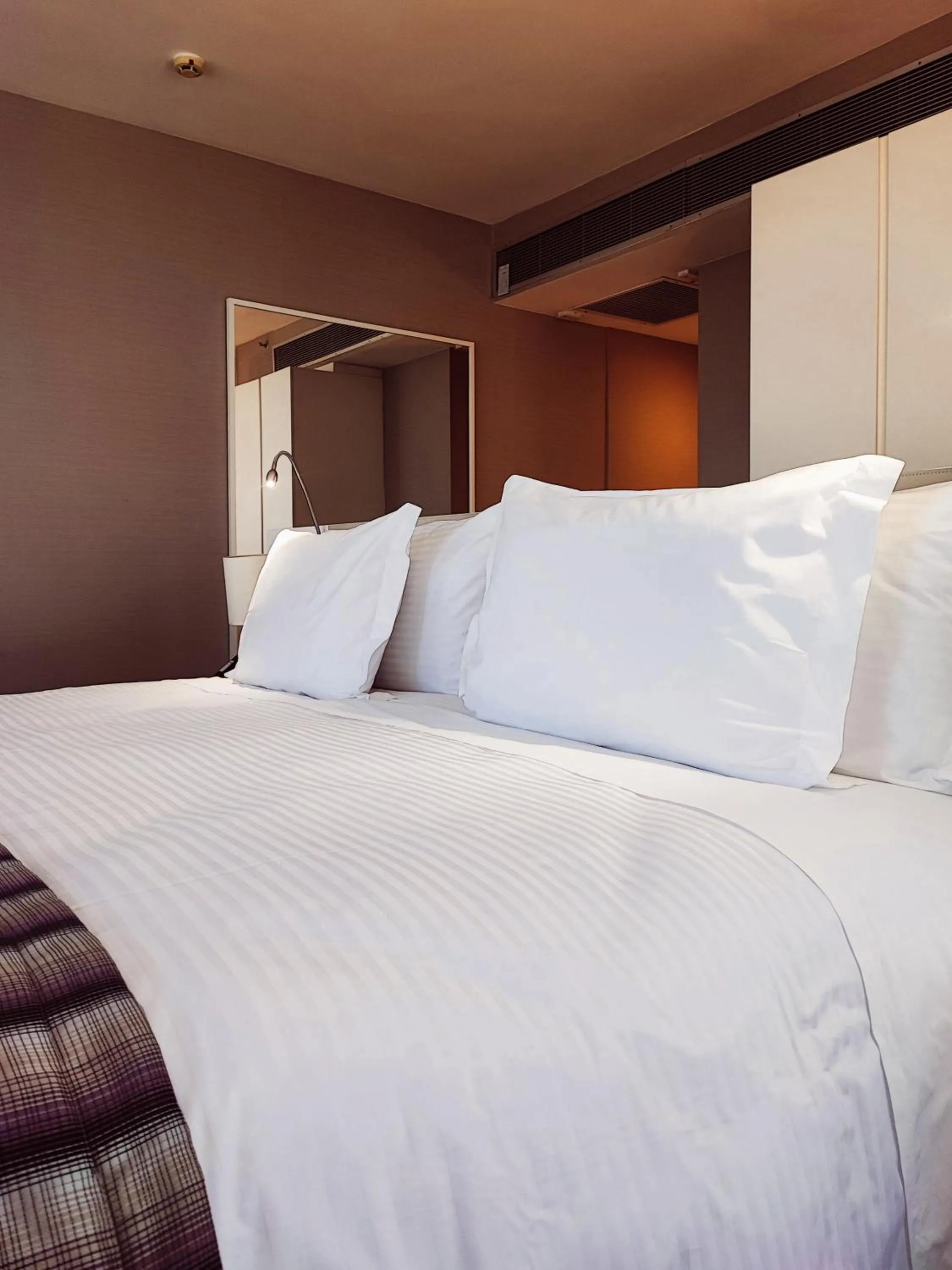 Business Suite  - single occupancy in Quality Hotel São Caetano