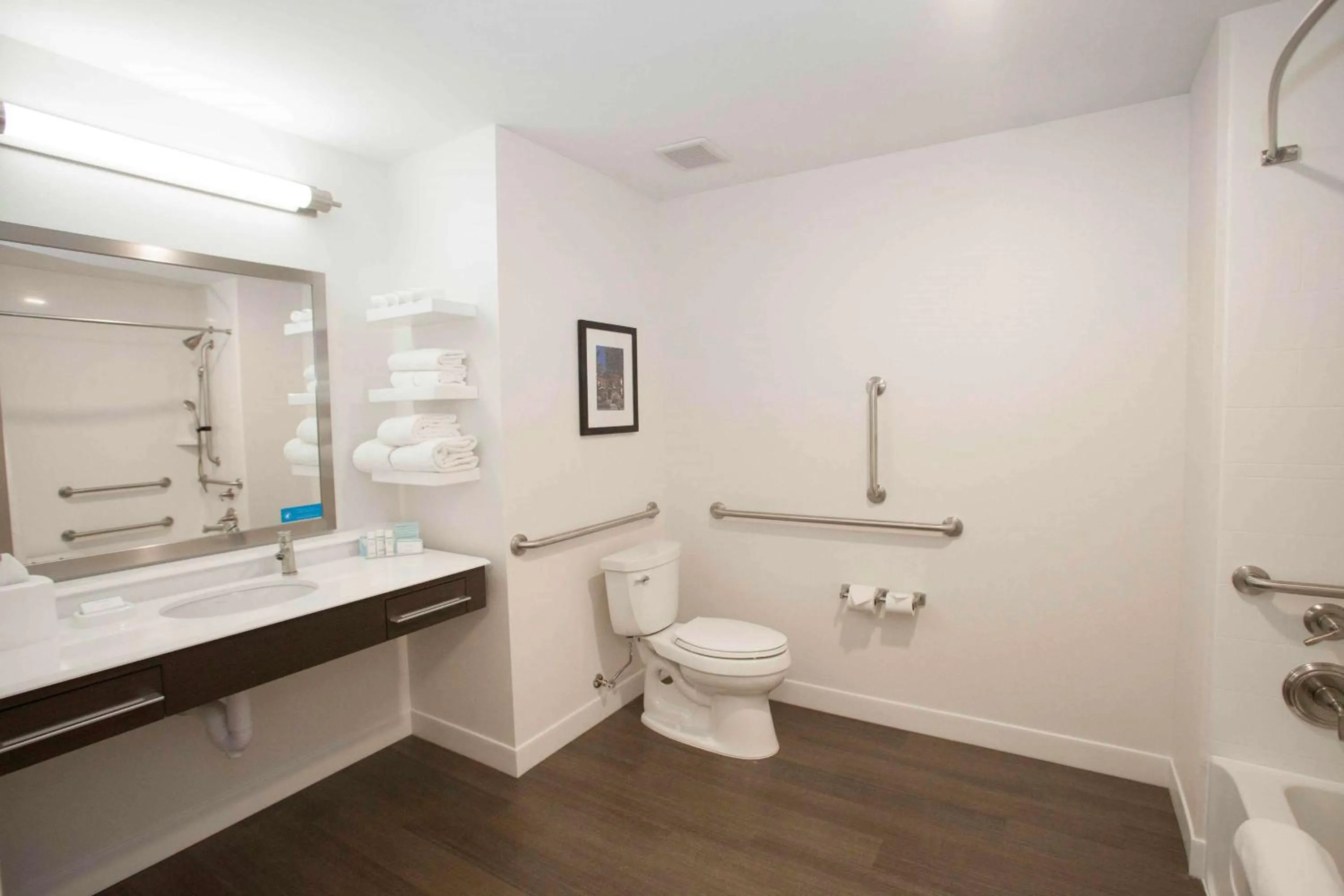 King Room with Accessible Tub - Mobility and Hearing Access/Non-Smoking in Hampton Inn & Suites St. Paul Downtown