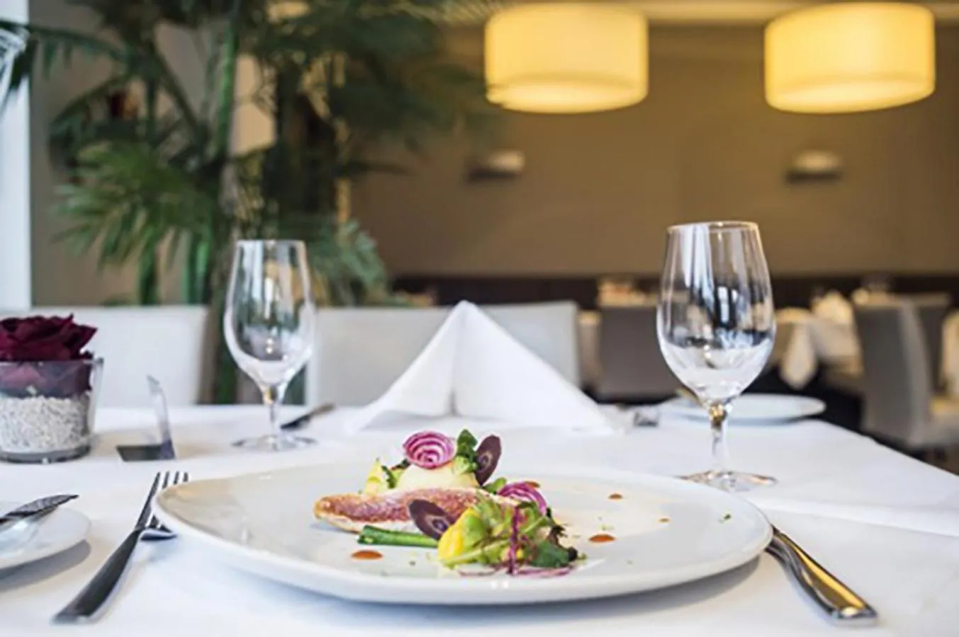 Discovery Package - single occupancy - Superior Room in Parc Hotel Alvisse