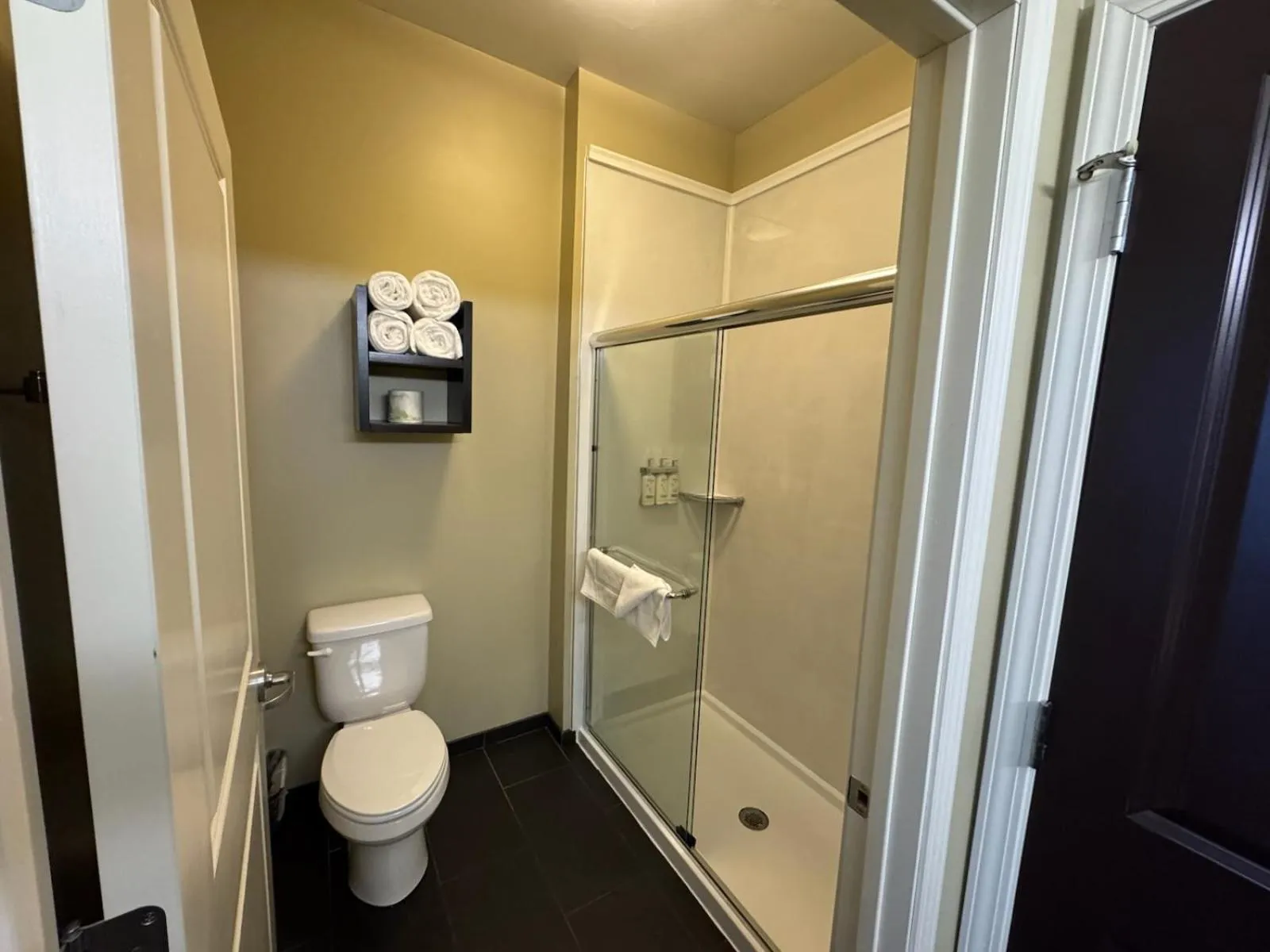 One-Bedroom Queen with Transfer Shower - Mobility Accessible in Staybridge Suites Marquette by IHG