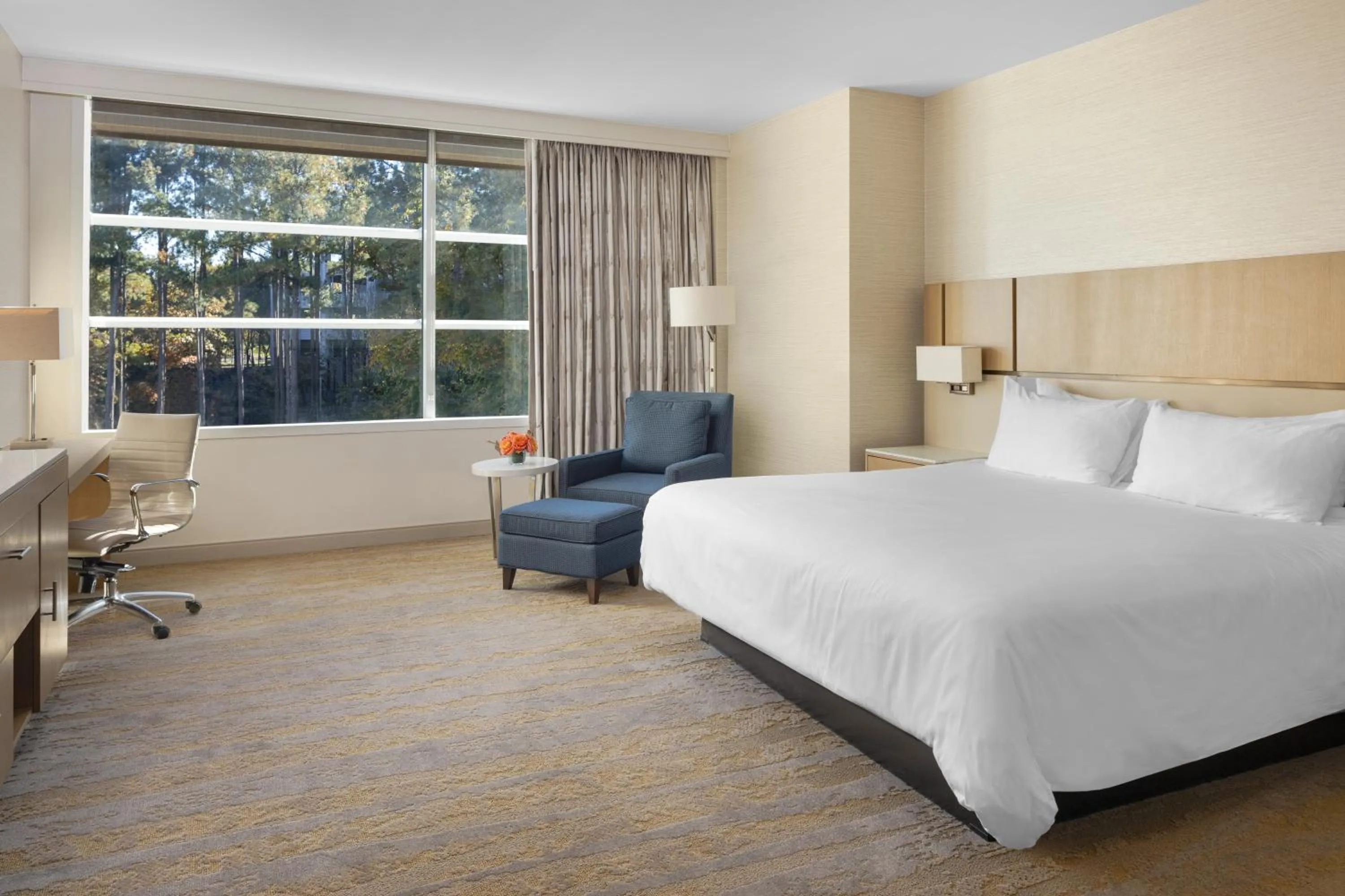 Studio - Disability Access in JB Duke Hotel