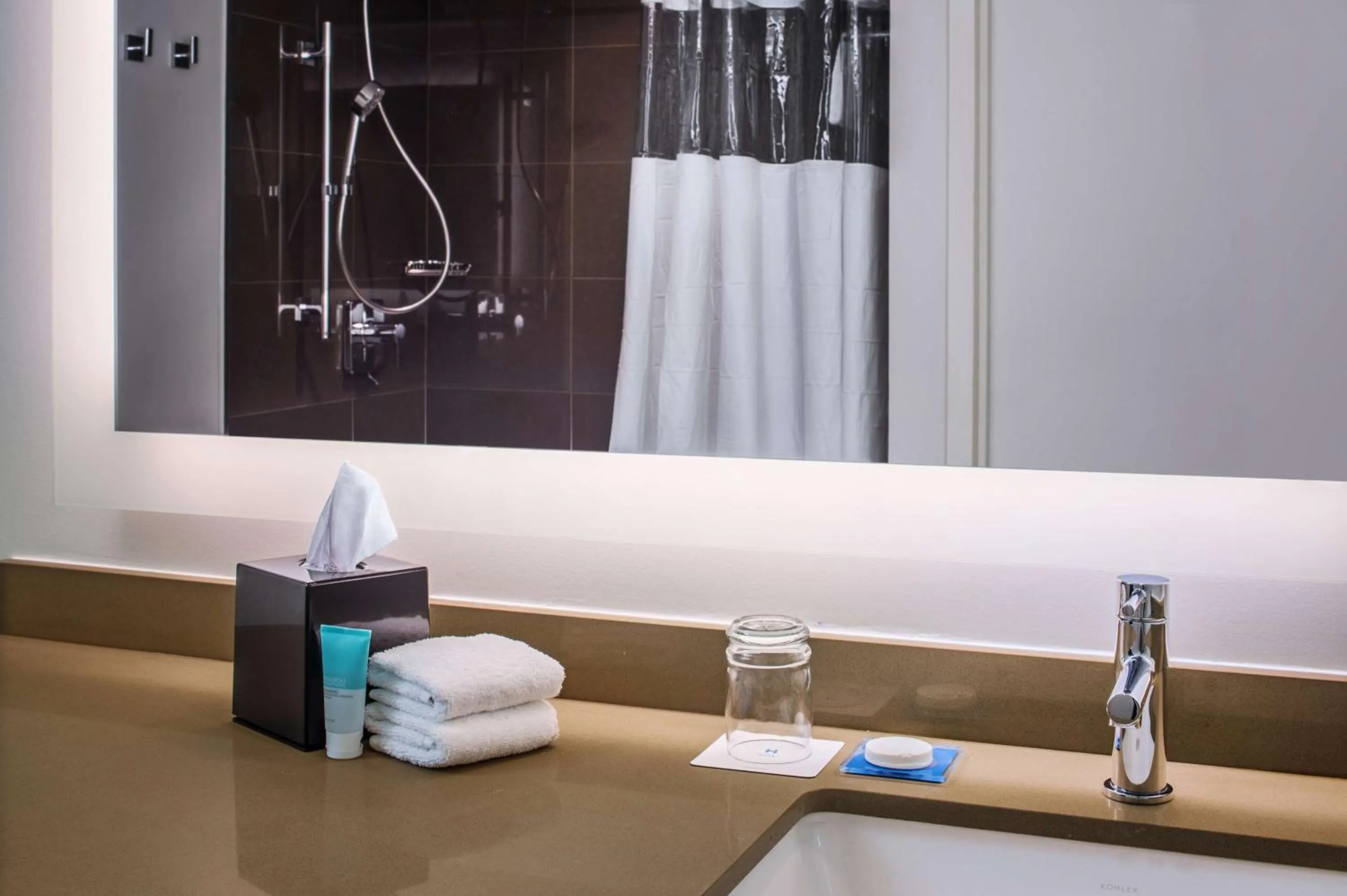 Queen Studio Suite with Kitchen and Roll-In Shower - Disability Access in Hyatt House New York/Chelsea