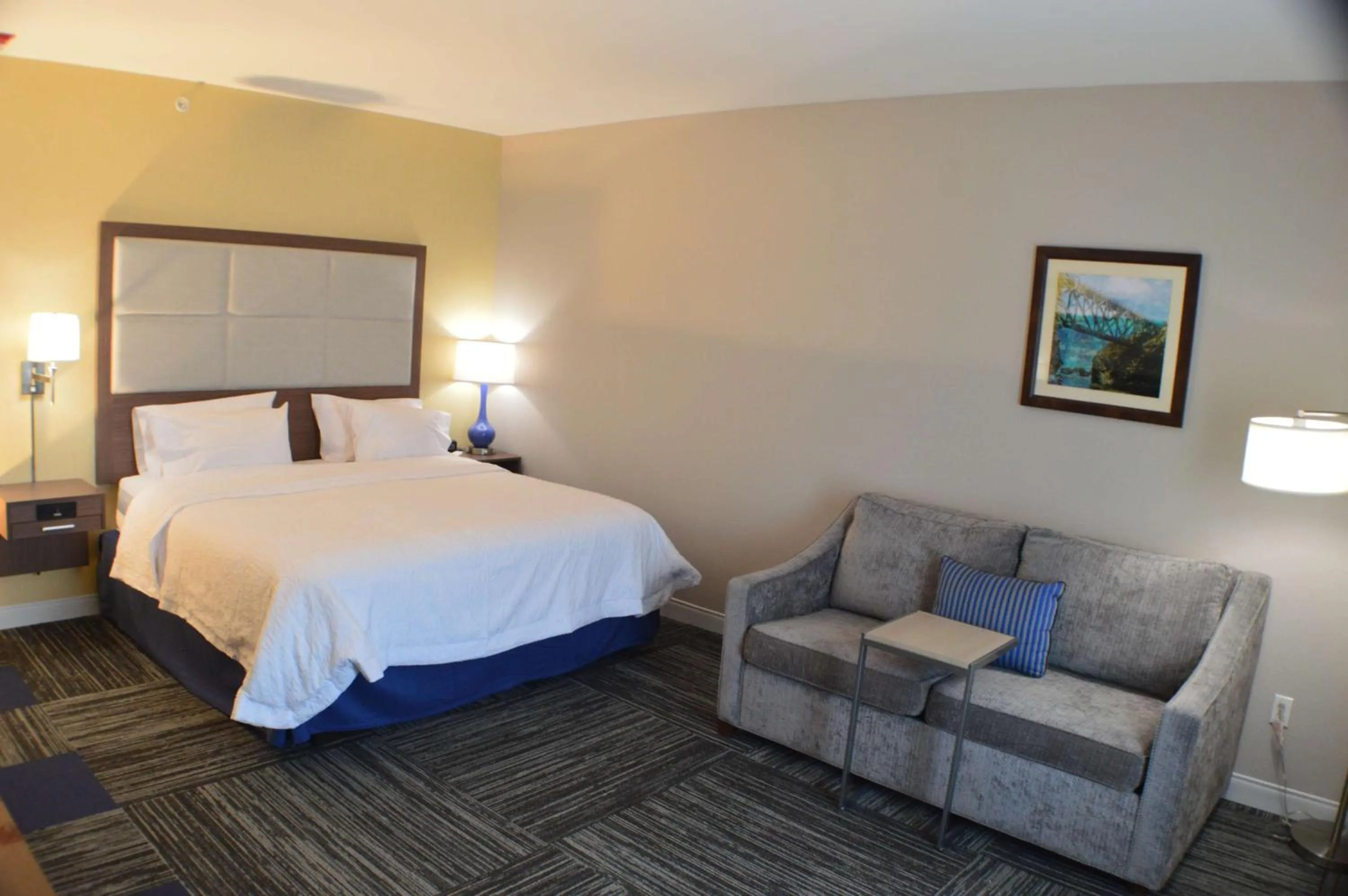 King Room - Hearing Access/Non-Smoking in Hampton Inn Lockport - Buffalo, NY
