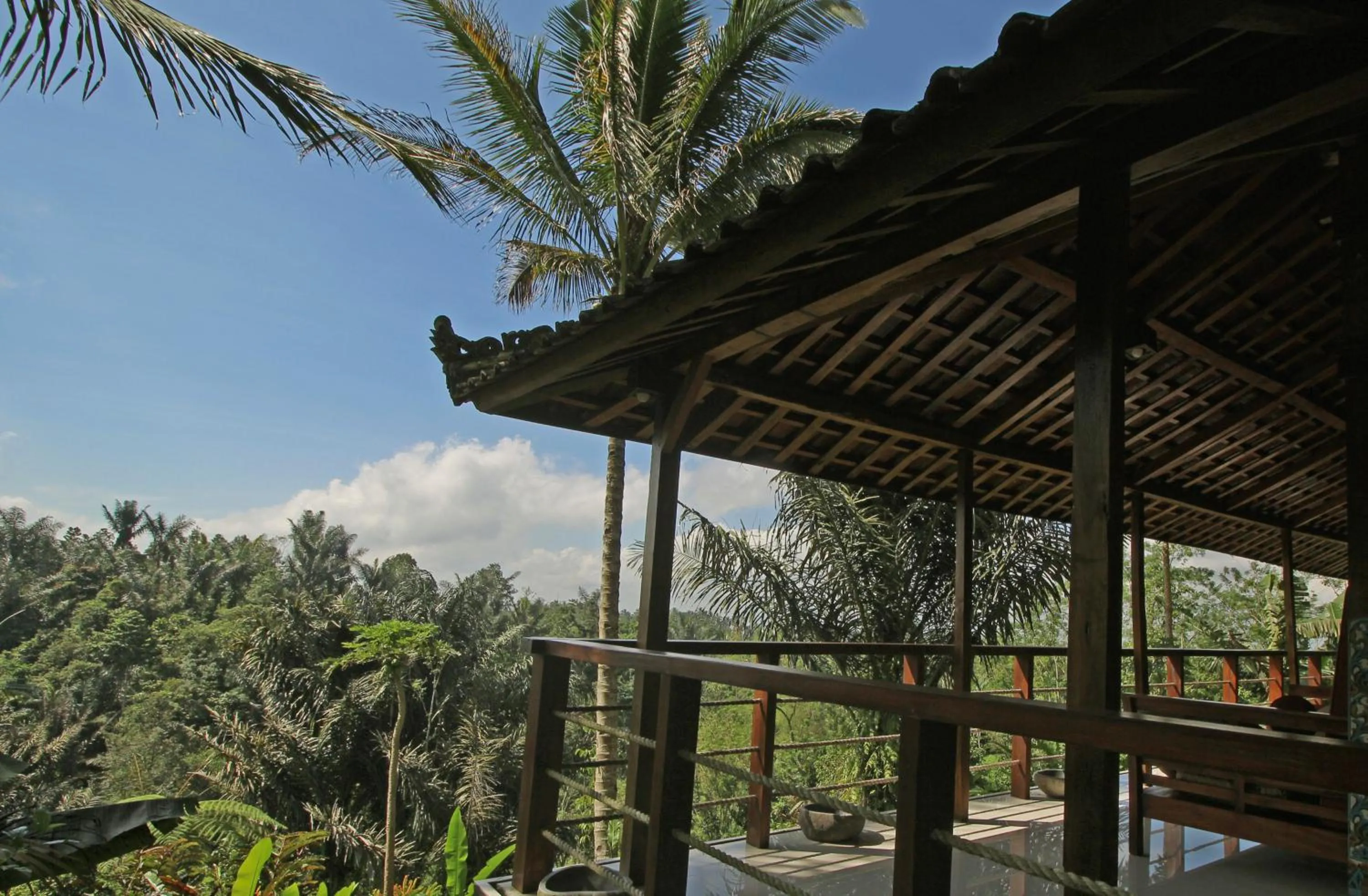 Deluxe Suite with Valley View in Alassari Plantation