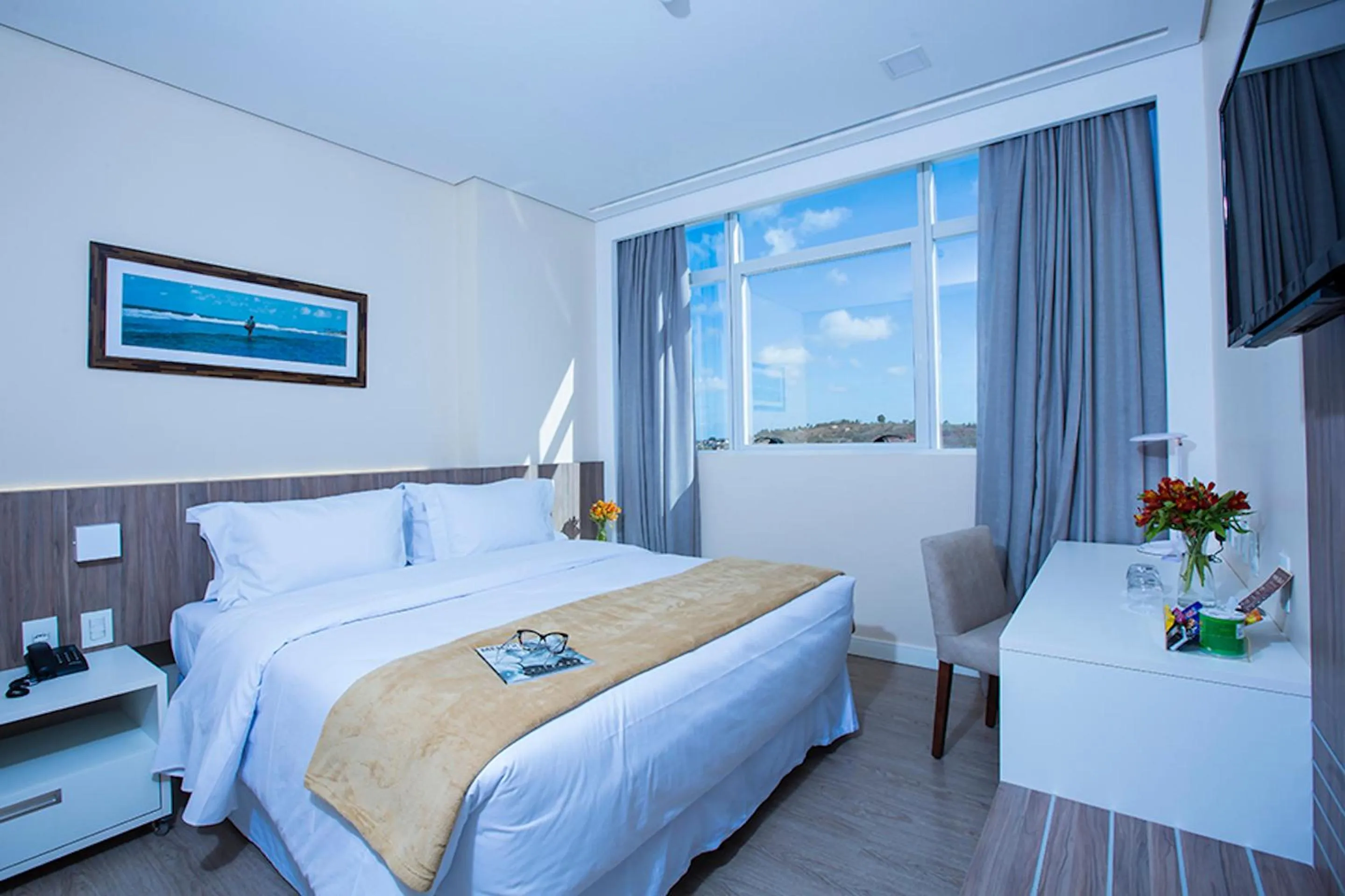 Standard Double - single occupancy - 1 Queen Bed in Intercity Suape Costa Dourada