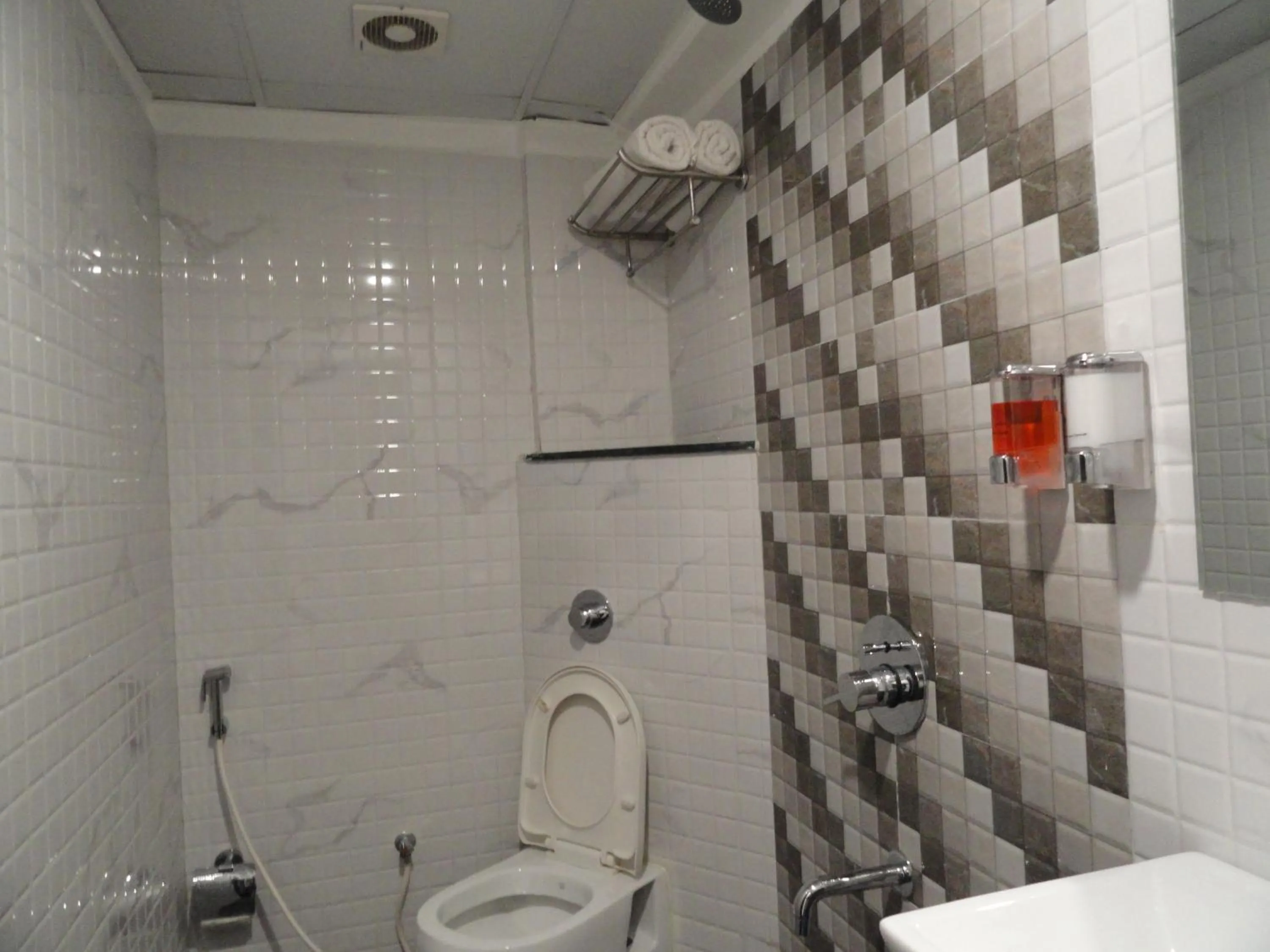 Deluxe Double Room in Hotel Raj