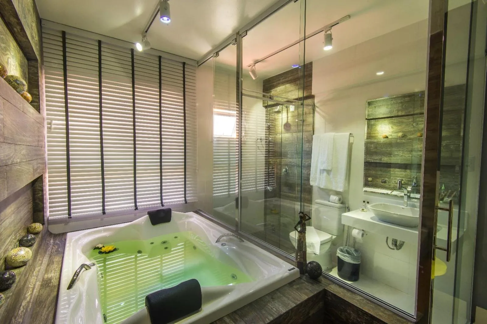 Deluxe Double or Twin Room in Cristal Pousada