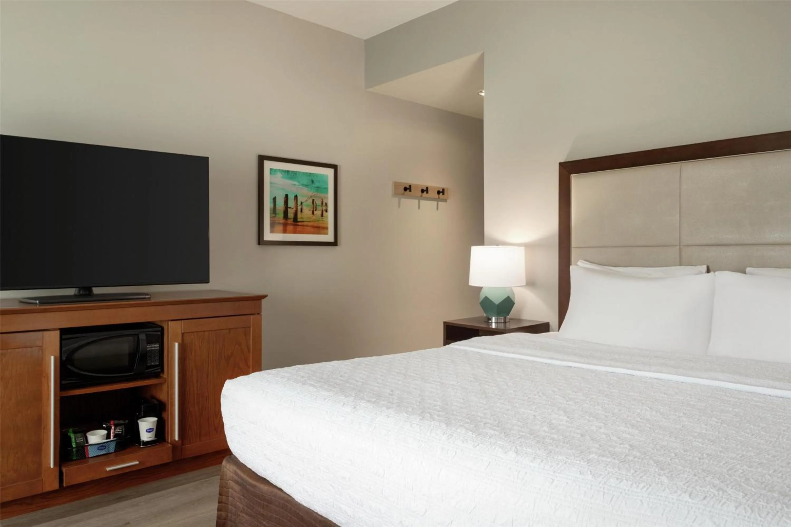 King Room - Non-Smoking in Hampton Inn & Suites by Hilton Tampa Busch Gardens Area