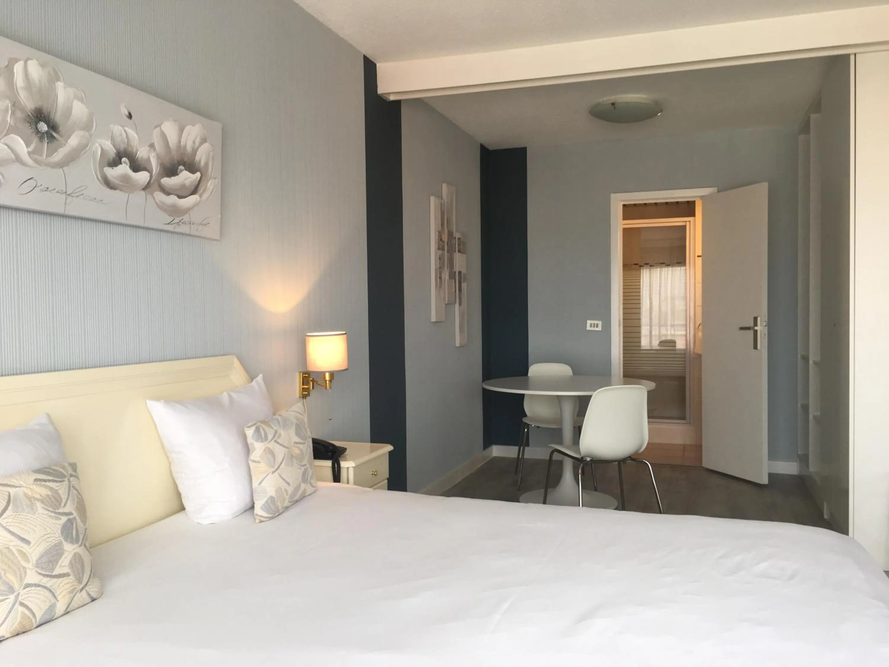 Classic Double Room in First Euroflat Hotel