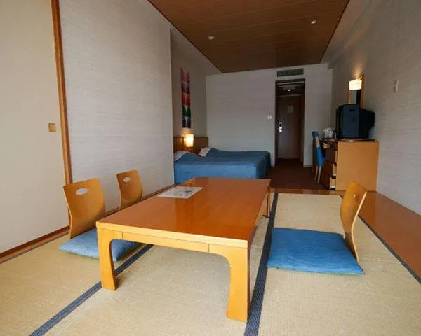 Standard Room with Tatami Area - single occupancy - Non-Smoking - South Wing in Akazawa Onsen Hotel