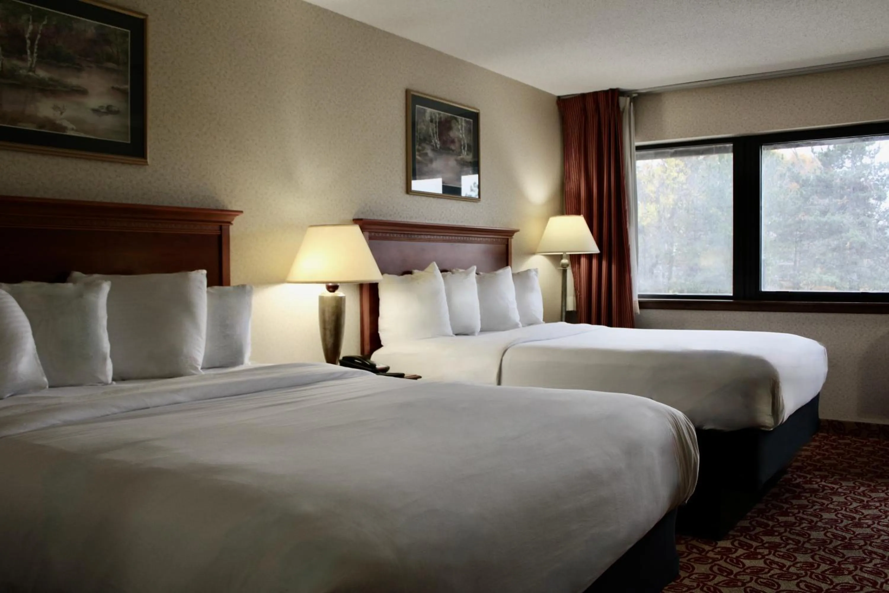 Double Room in Carlton Lodge Hotel and Suites