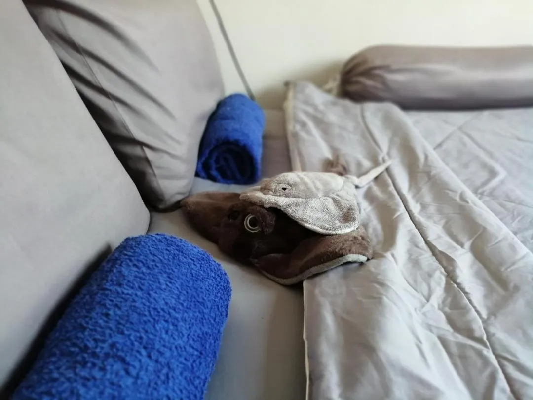  Queen Room with Shared Bathroom - single occupancy - Aircon in Paapu House