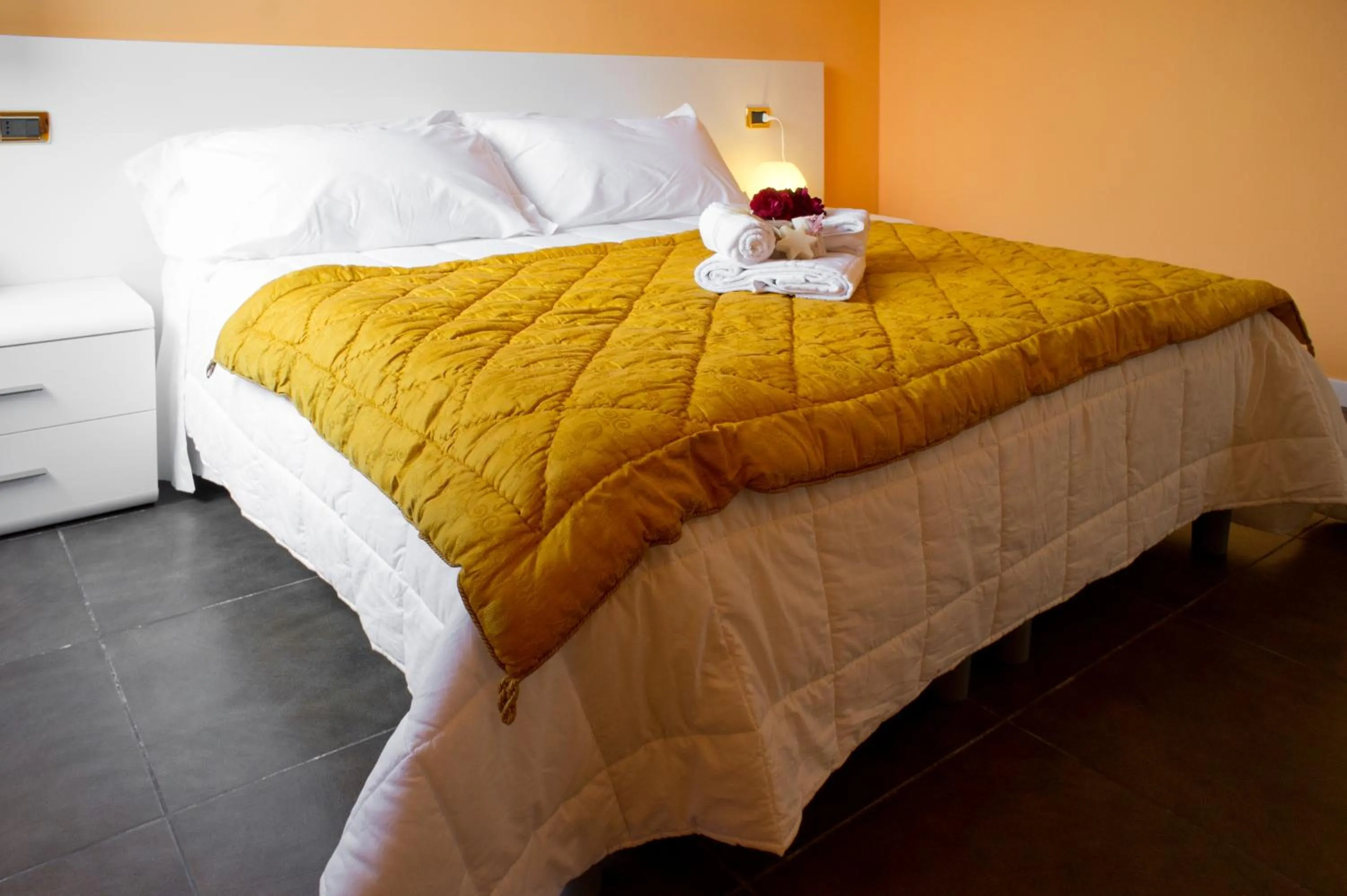 Double Room in Hotel Padus Meublè Parma