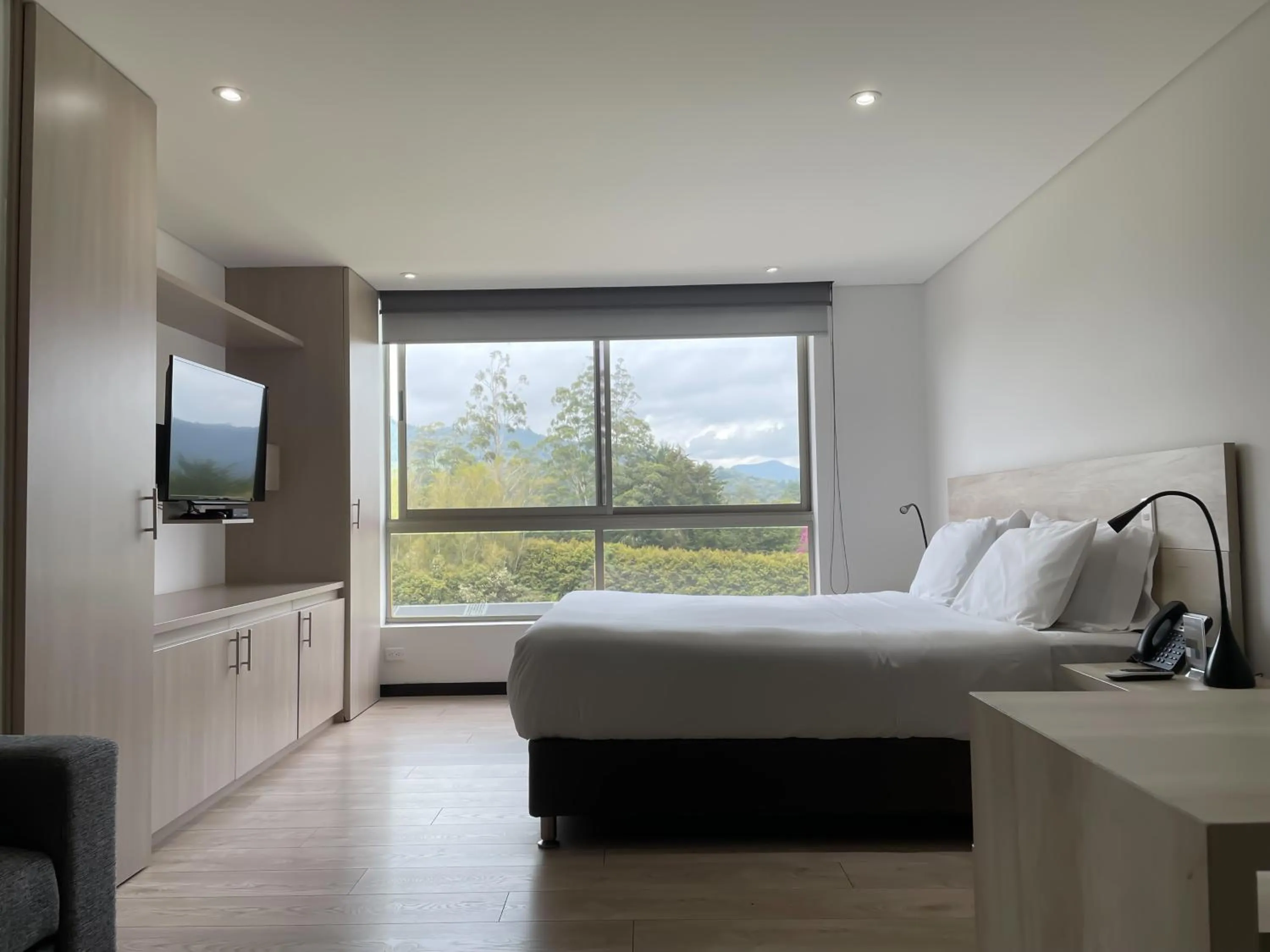 Standard Queen Room in MG Hotels & Suites