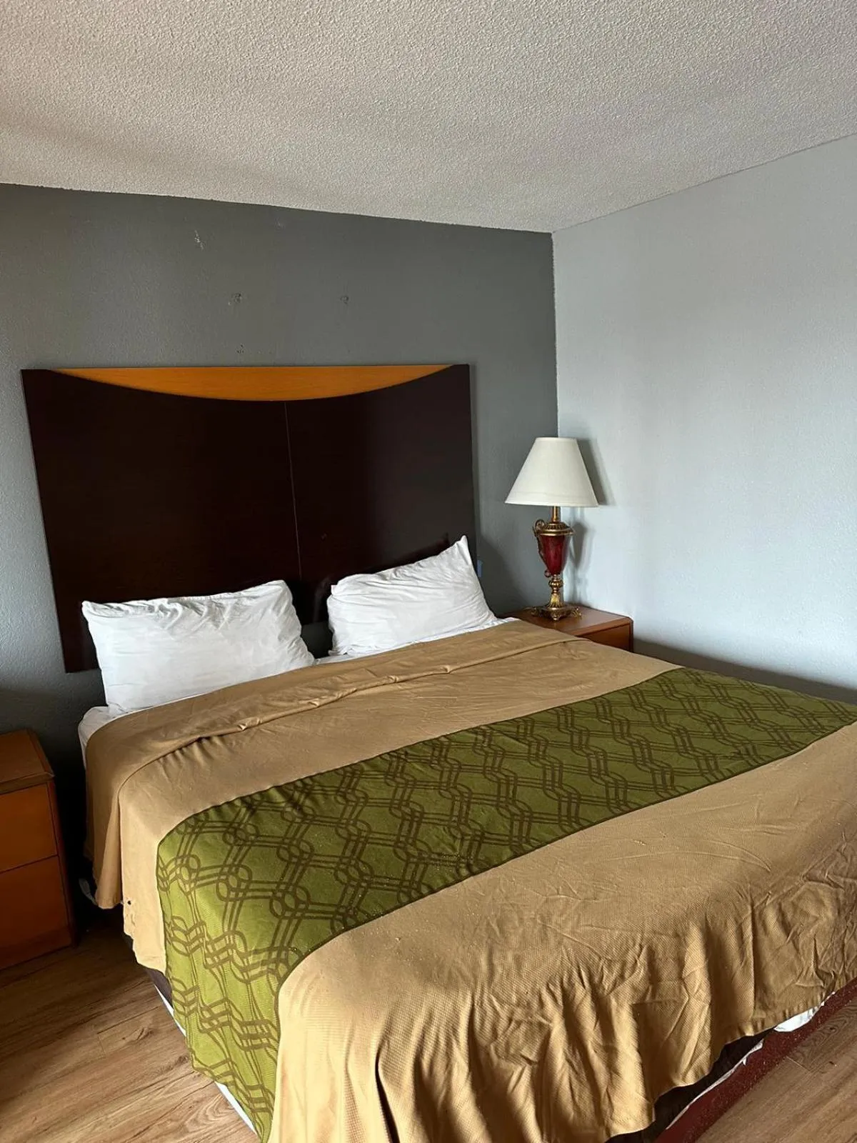 King Room - Smoking  in Rodeway Inn Hopkinsville