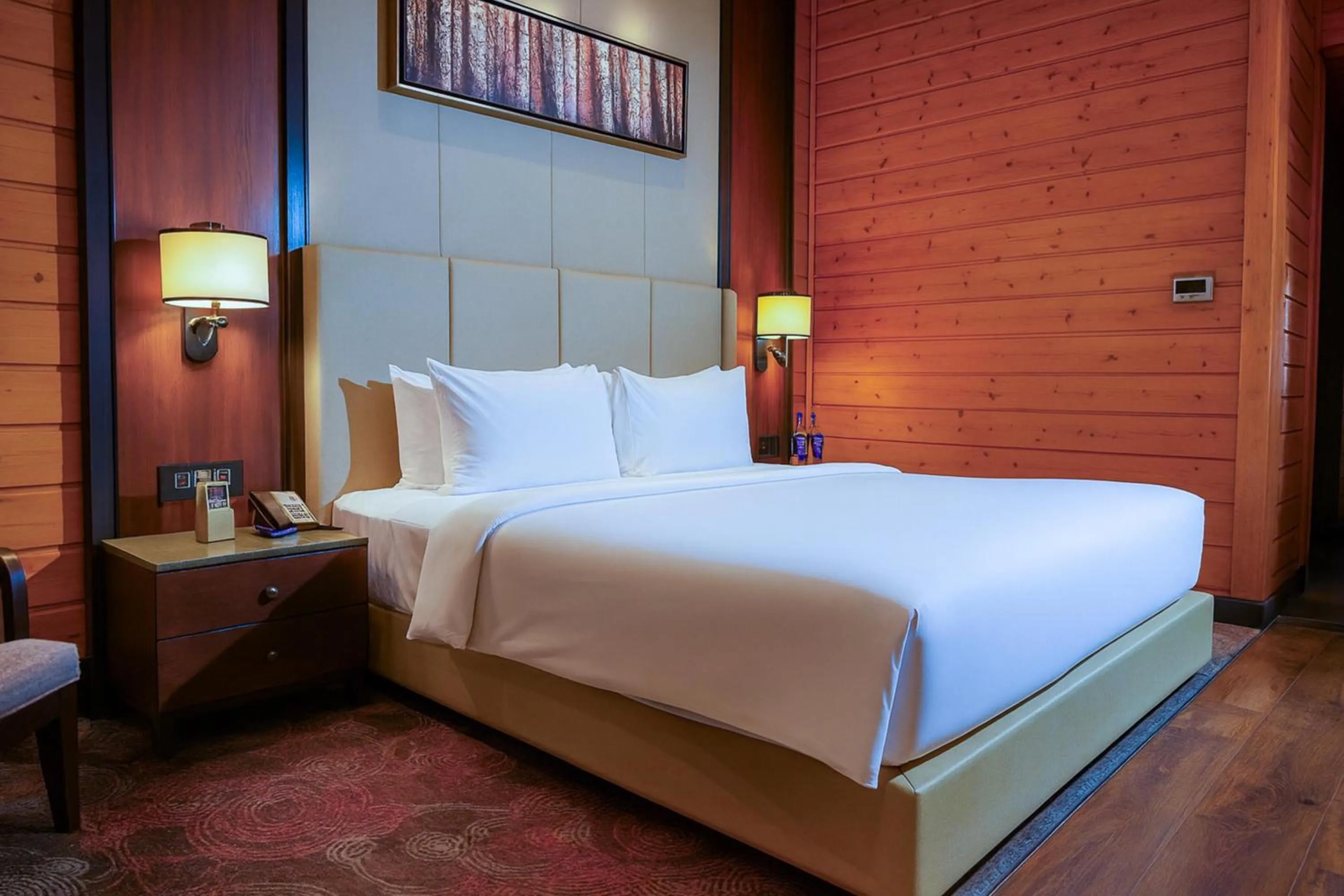 Deluxe Room in Radisson Blu Resort Dharamshala