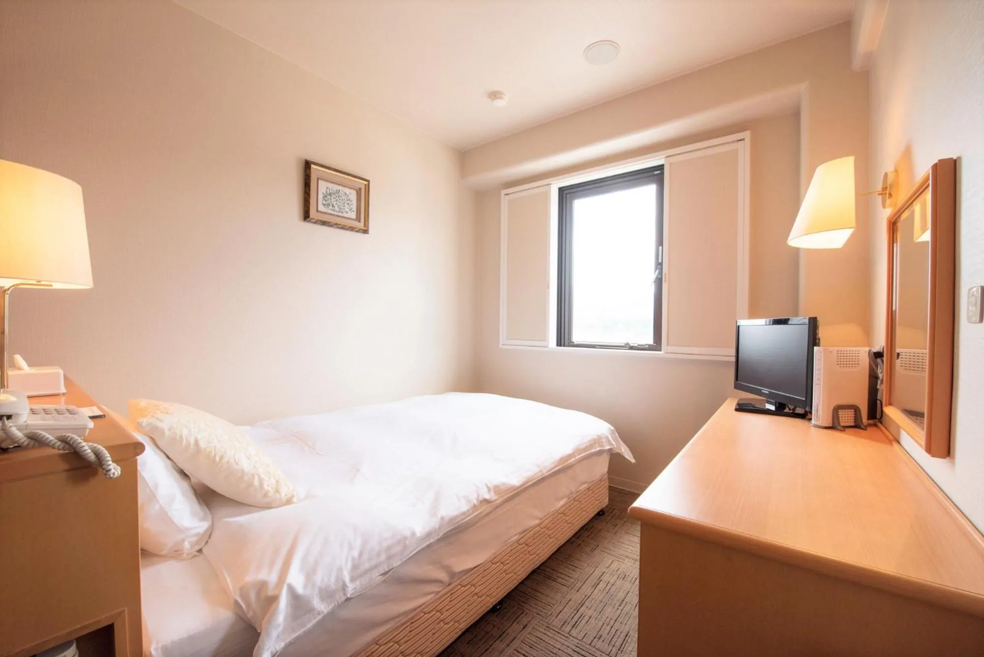 Single Room - single occupancy - Smoking in Central Hotel Imari