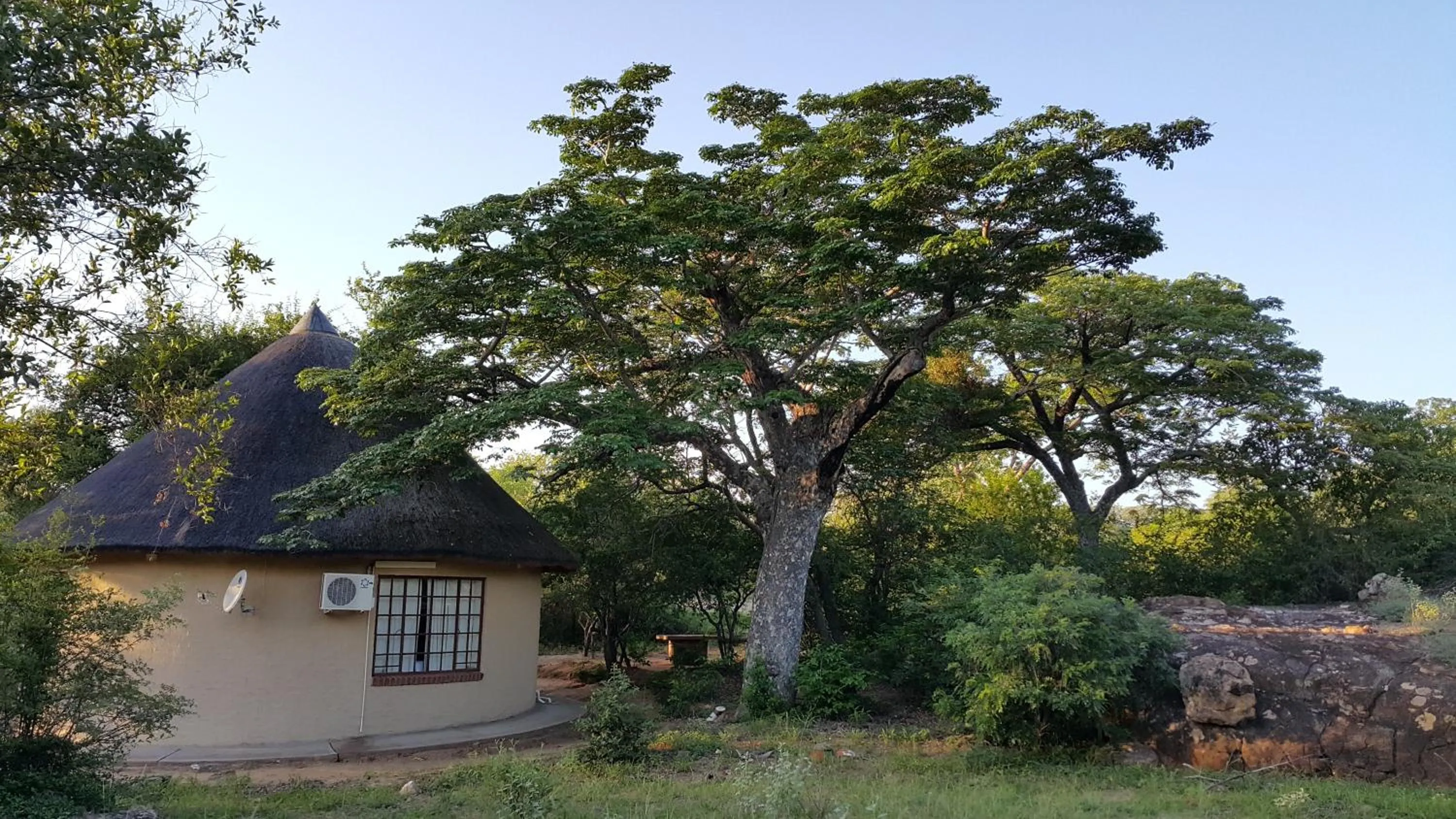 Bungalow - single occupancy in Awelani Lodge