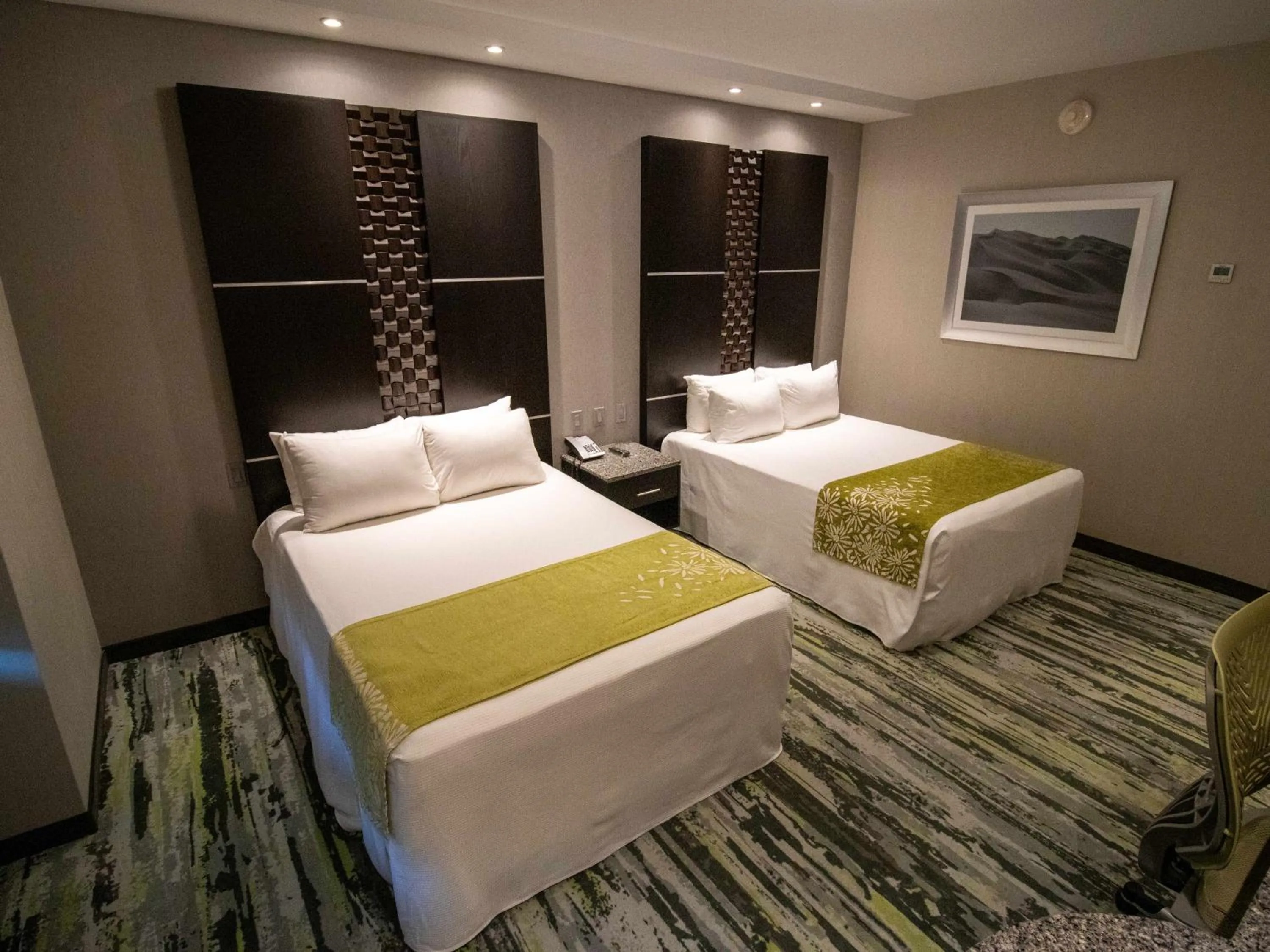Standard Twin Room in Hotel Araiza San Luis R.C.