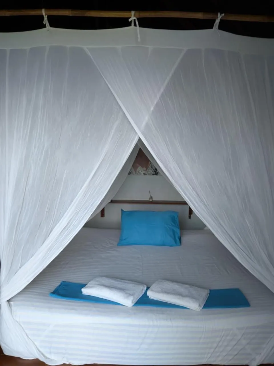 Superior Bungalow with Sea View in Casa Nemo Beach Resort & Spa