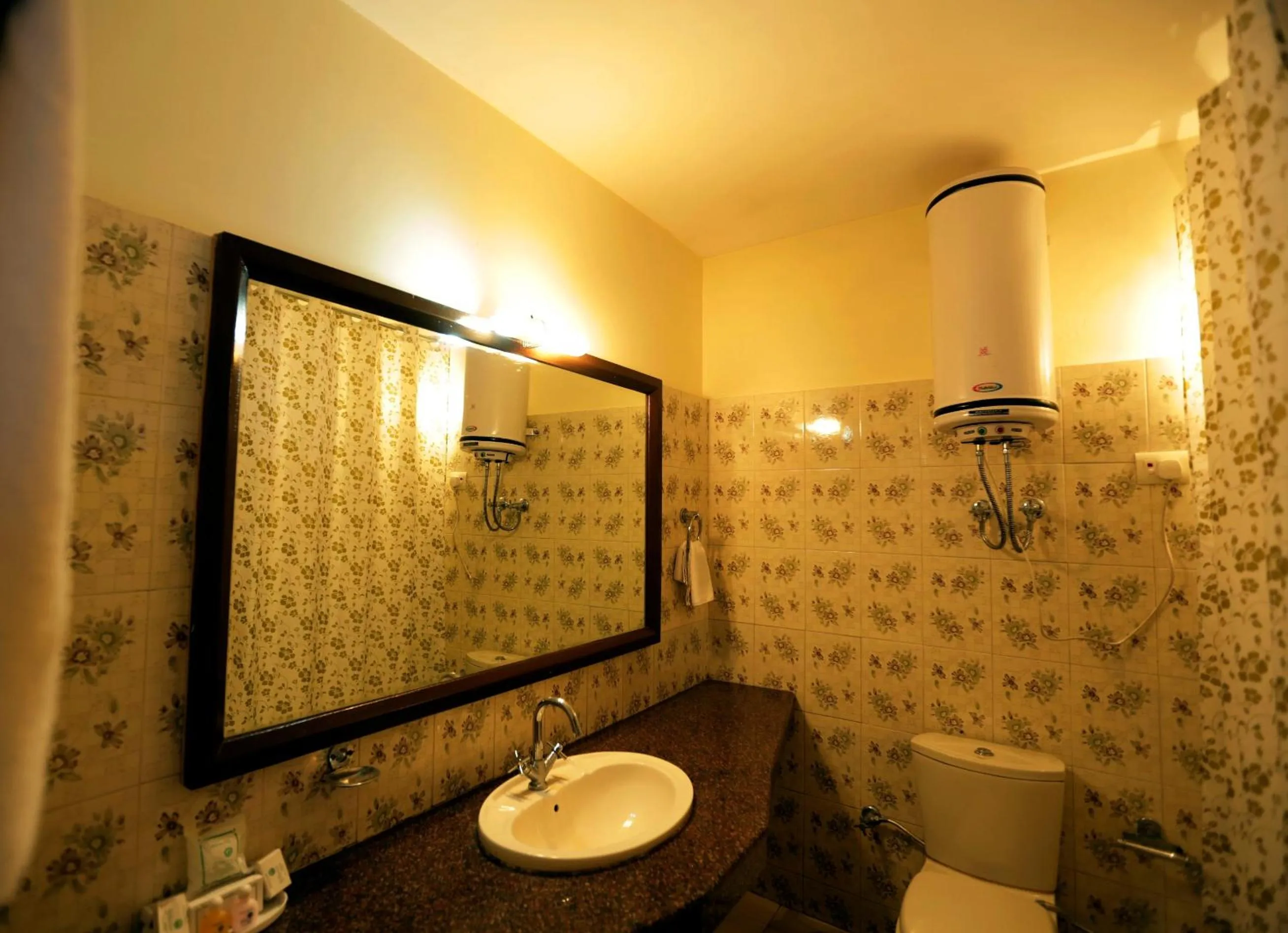 Double Room in Hotel Glacier Resort