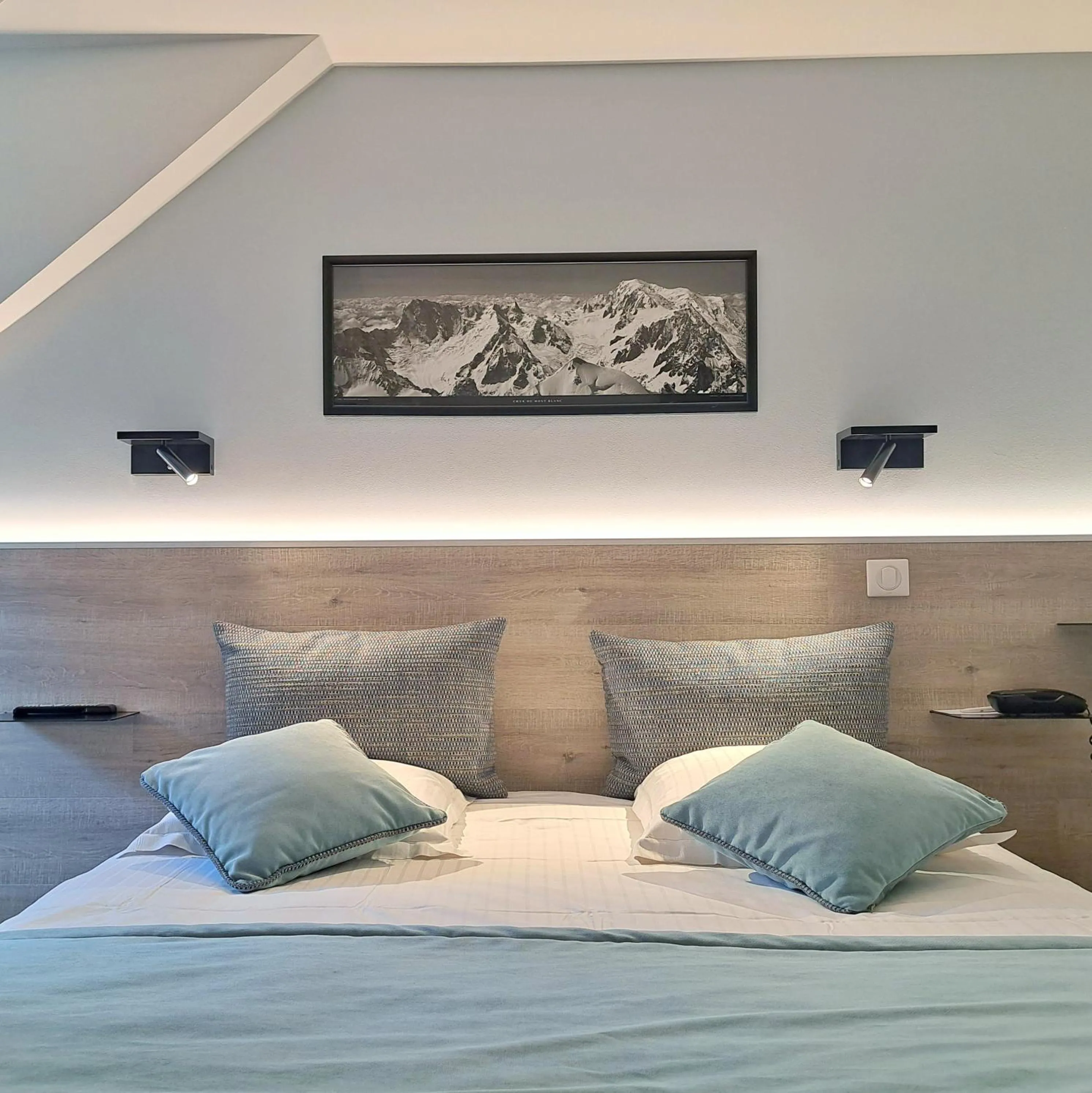 Superior Double Room in Hôtel des Princes, Chambéry Centre